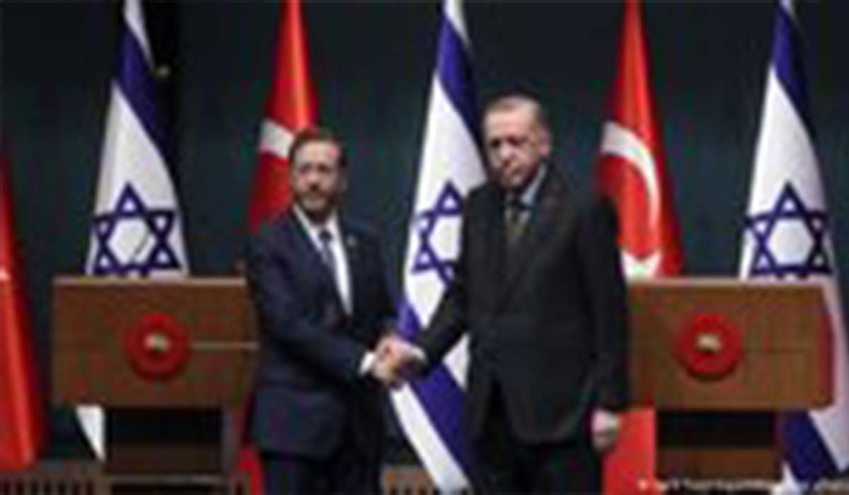 حمله تندوتیز نماینده پارلمان ترکیه به اردوغان: شریک دزد و رفیق قافله!