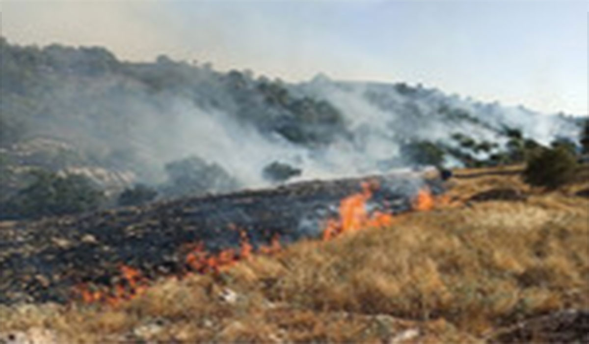 شعله‌ور شدن دوباره آتش در منطقه حفاظت شده خائیز