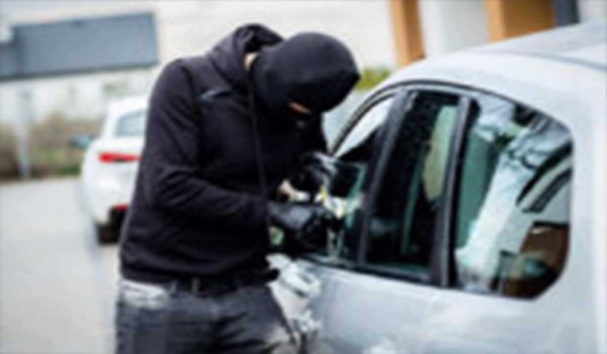 سرقت موبایل راننده ۲۰۶ در پمپ بنزین