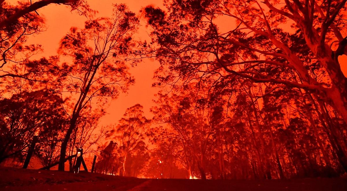 آتش‌سوزی‌های وسیع فصلی کشور استرالیا | گرفتن نیم میلیارد جان