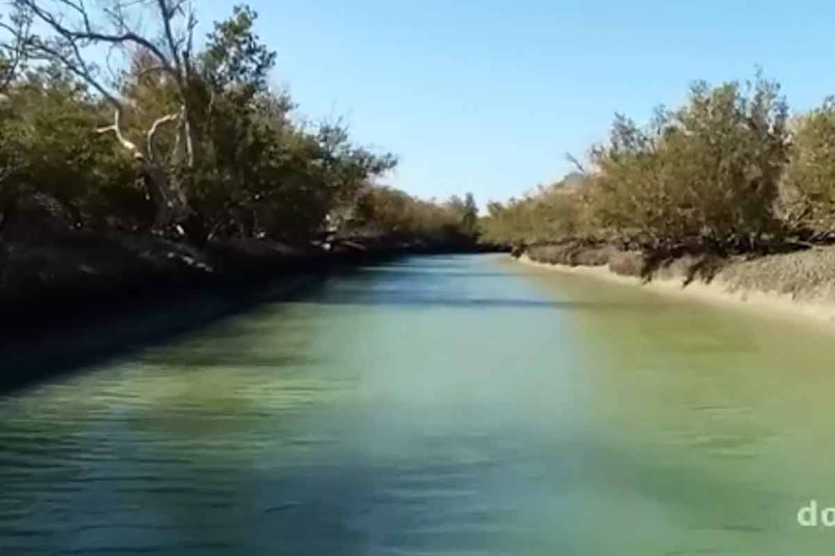 مستند حیات خانه ما (قسمت سی و ششم)