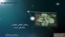 به خانه برمی گردیم - آموزش سنگ دوزی توسط خانم معین افشار 94/6/7