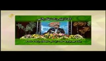 سید محمد جواد حسینی - تلاوت مجلسی سوره های مبارکه نبا آیات 31-40 و کوثر (تصویری)