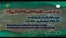 شهریار پرهیزگار - تلاوت ترتیل جزء 12 (تصویری با زیرنویس عربی-فارسی-انگلیسی)
