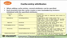 12.Caching _ Cache entry attributes