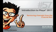 57. Removing channels from the Channel Box.flv