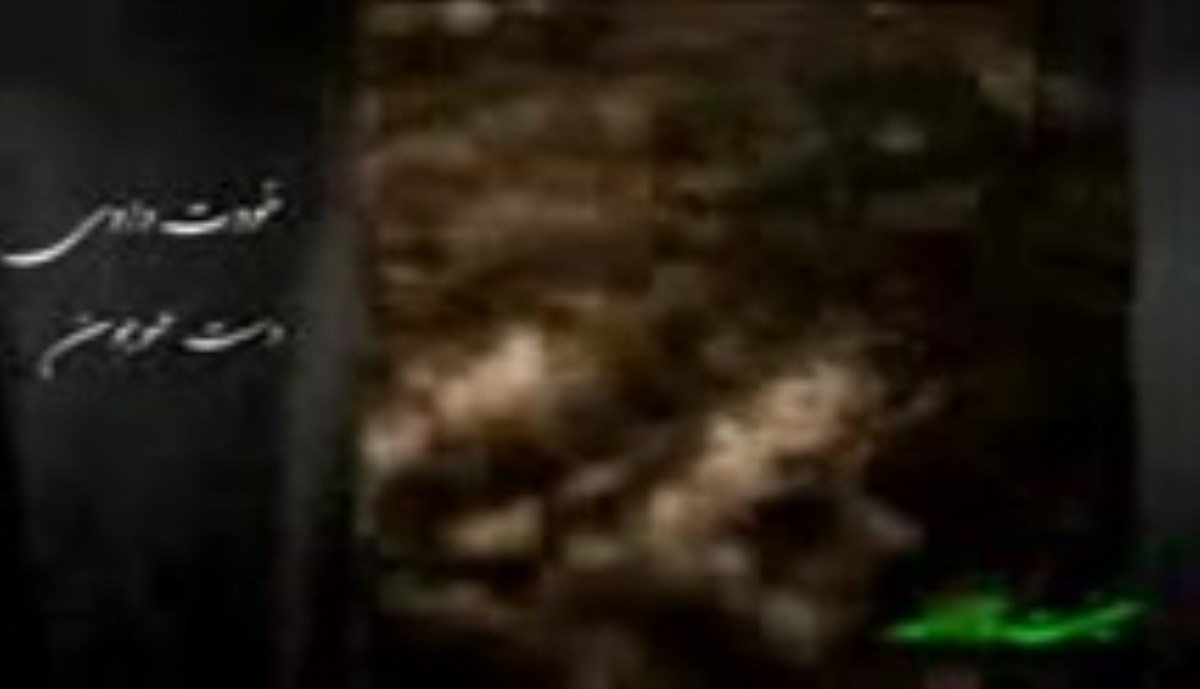 حاج محمود کریمی - ولادت امام رضا علیه السلام سال 96 - از گریه های اصغر دلم به غم اسیره (روضه حضرت علی اصغر علیه السلام)