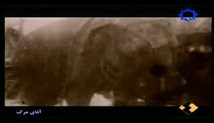 اعدام فیل با برق توسط توماس ادیسون