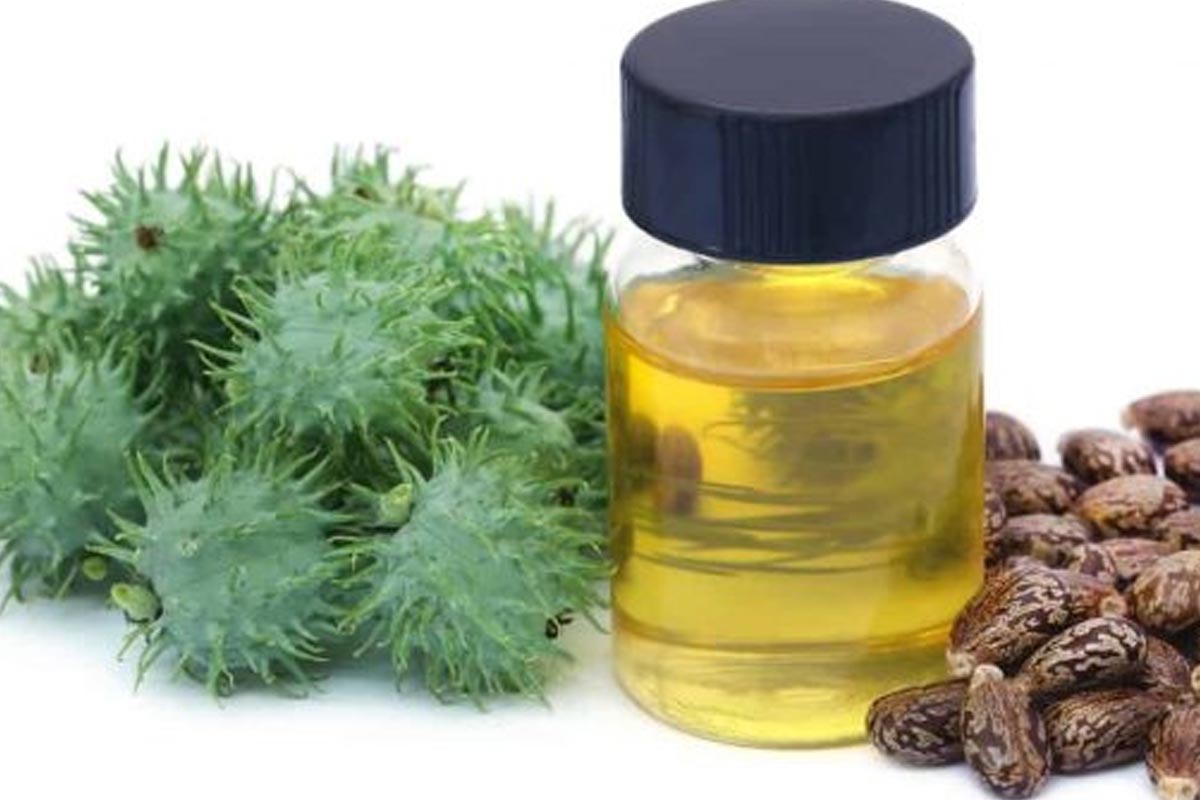 مضرات روغن کرچک/ استاد ضیایی