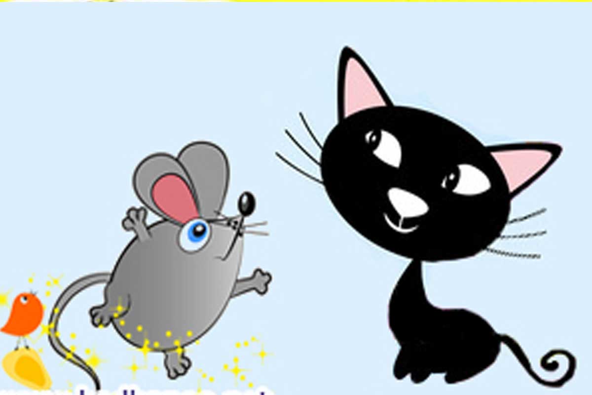 داستان کودکانه «گربه و موش»