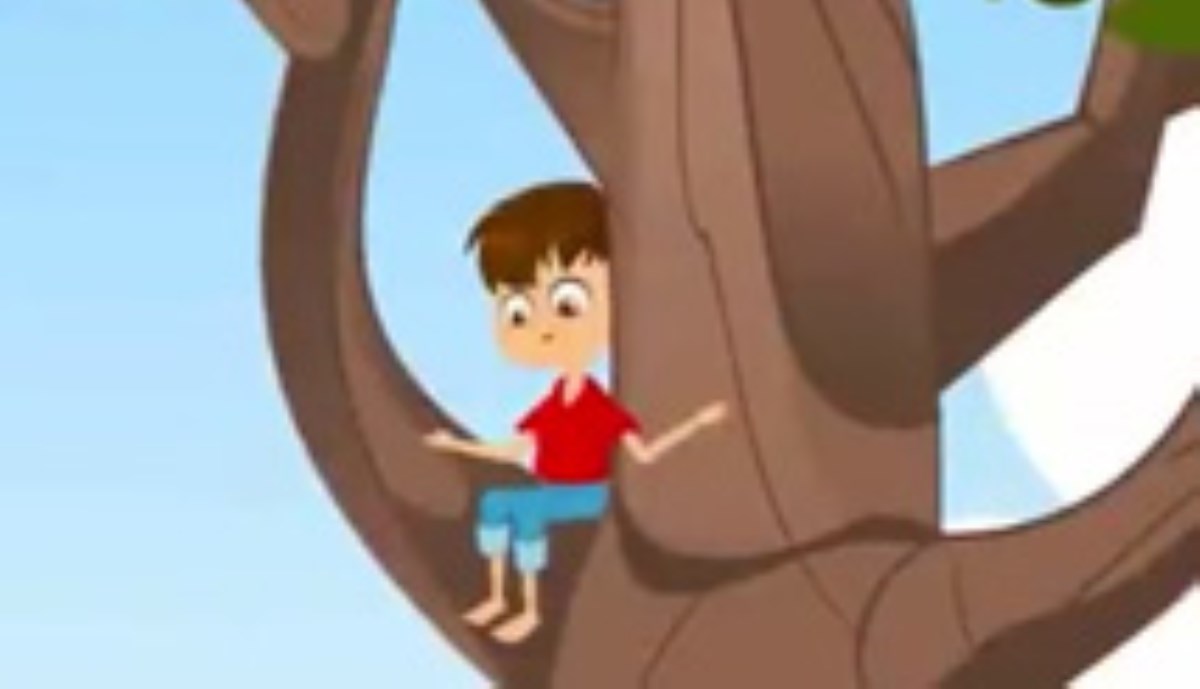 داستان کودکانه | پسر و درخت