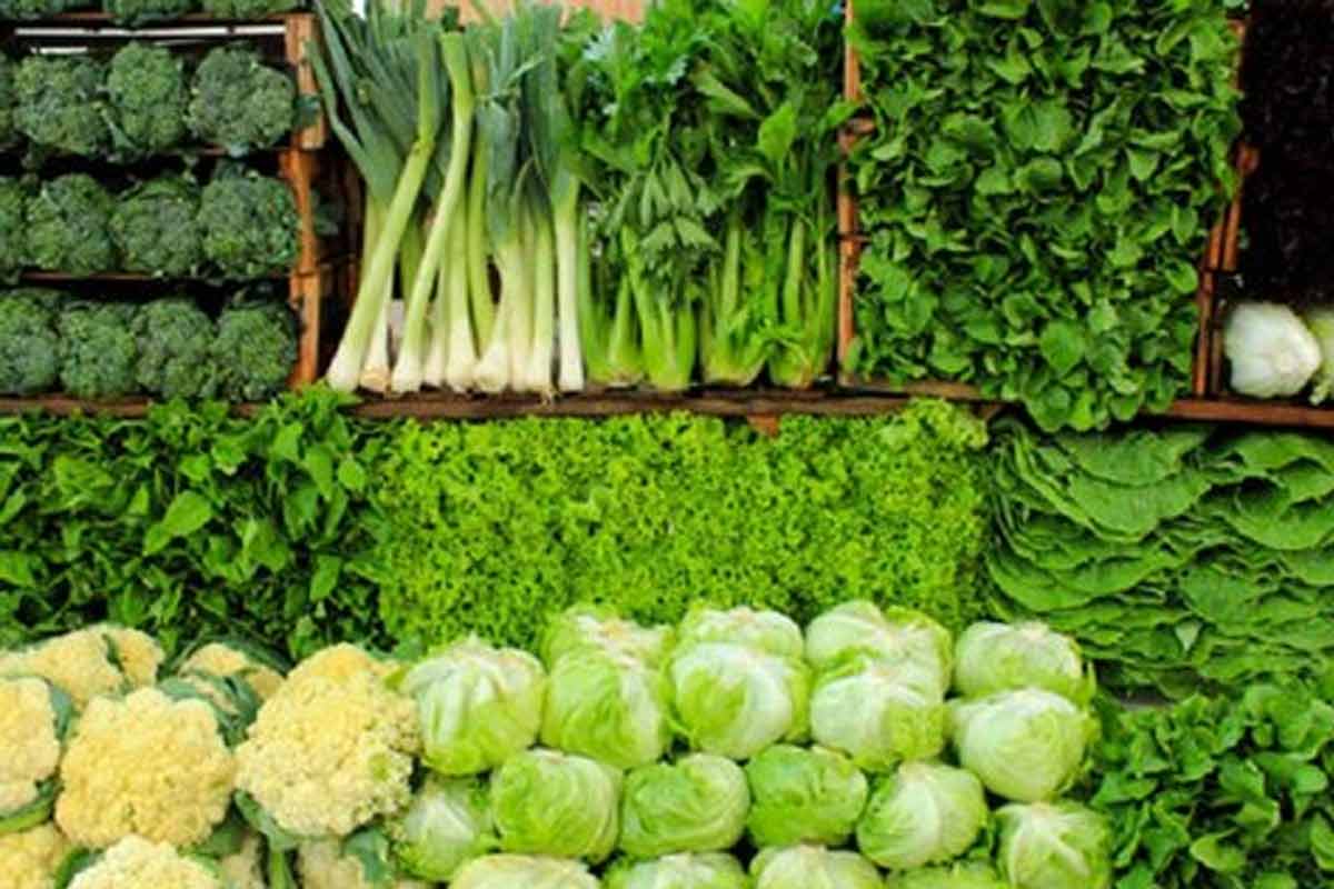 سبزیجات مفید برای دیابتی ها/ دکتر حسن اکبری