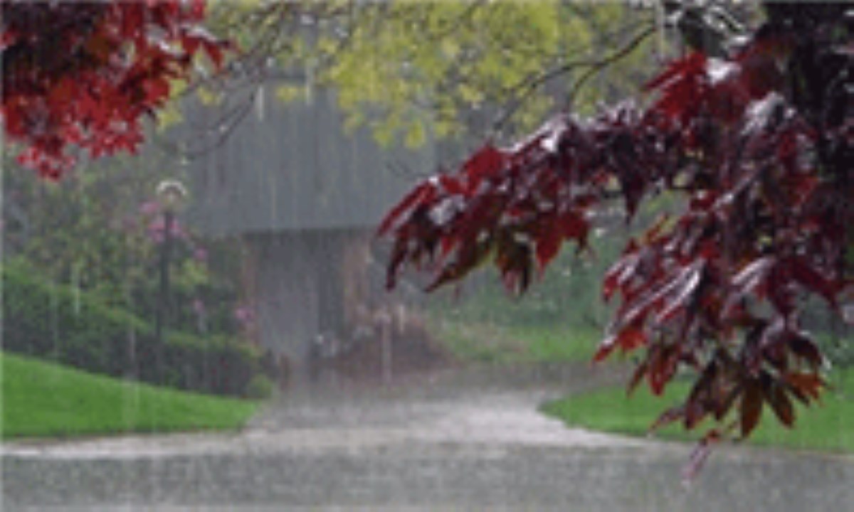 بارش نسبتاً شدید باران و تگرگ در 5 استان کشور طی امشب و فردا