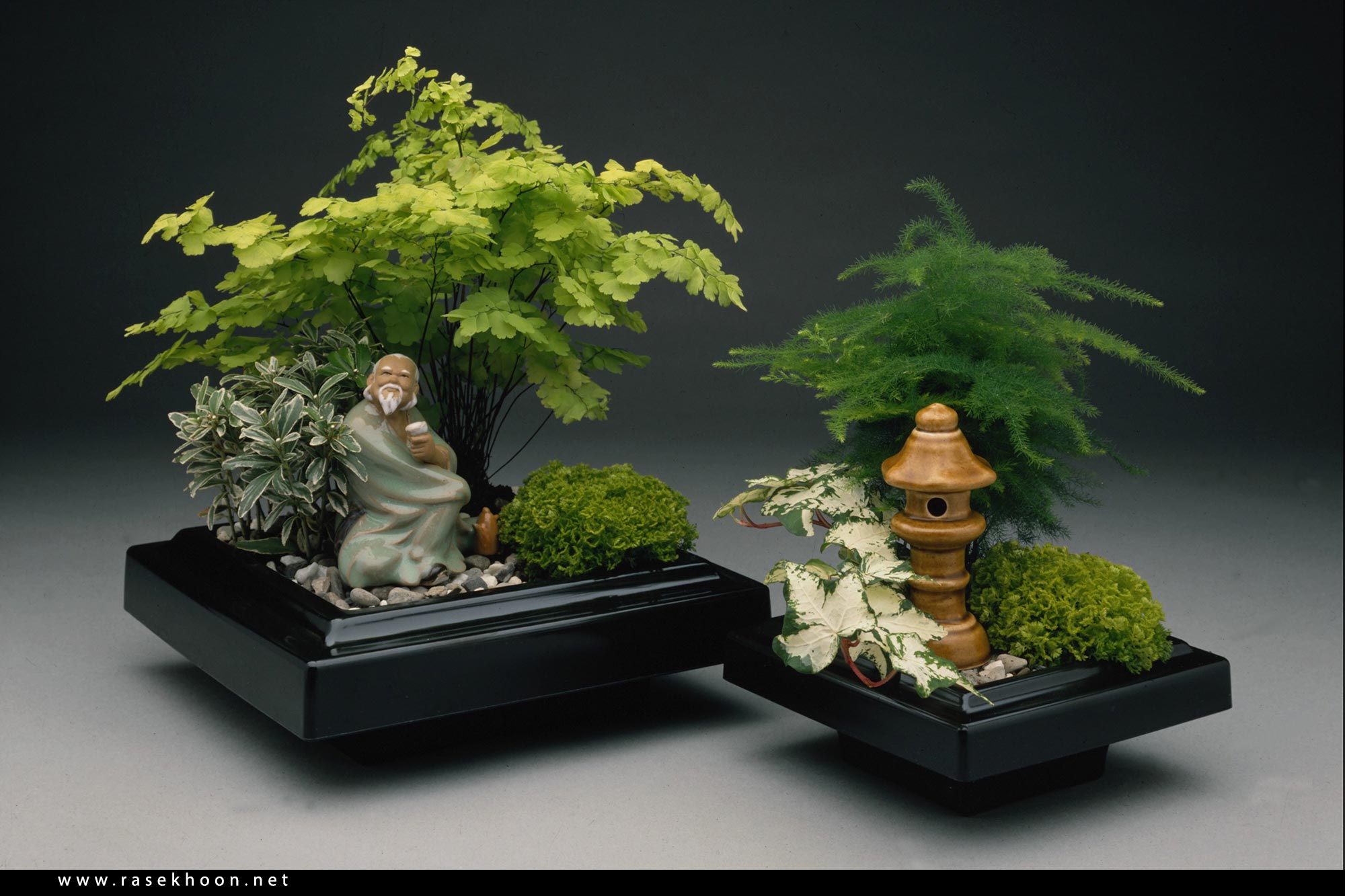 Декоративное мини купить. Бонсай миниатюрные сады в Японии. Искусство бонсай в Японии. Бонсай древняя Япония. Икебана бонсай.