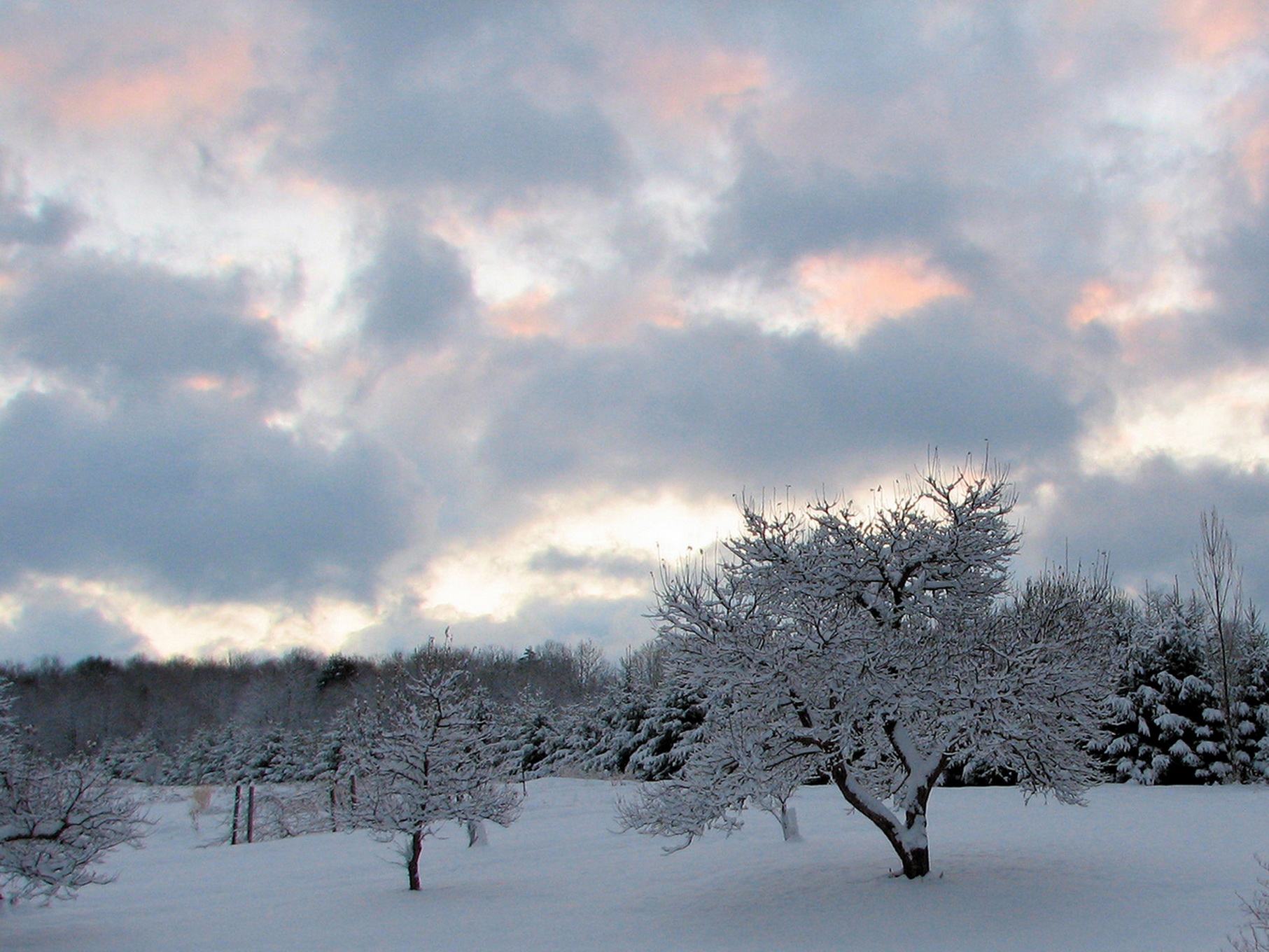 This winter. Пасмурное зимнее небо. Хмурая зима. Серое зимнее небо. Облака зима.