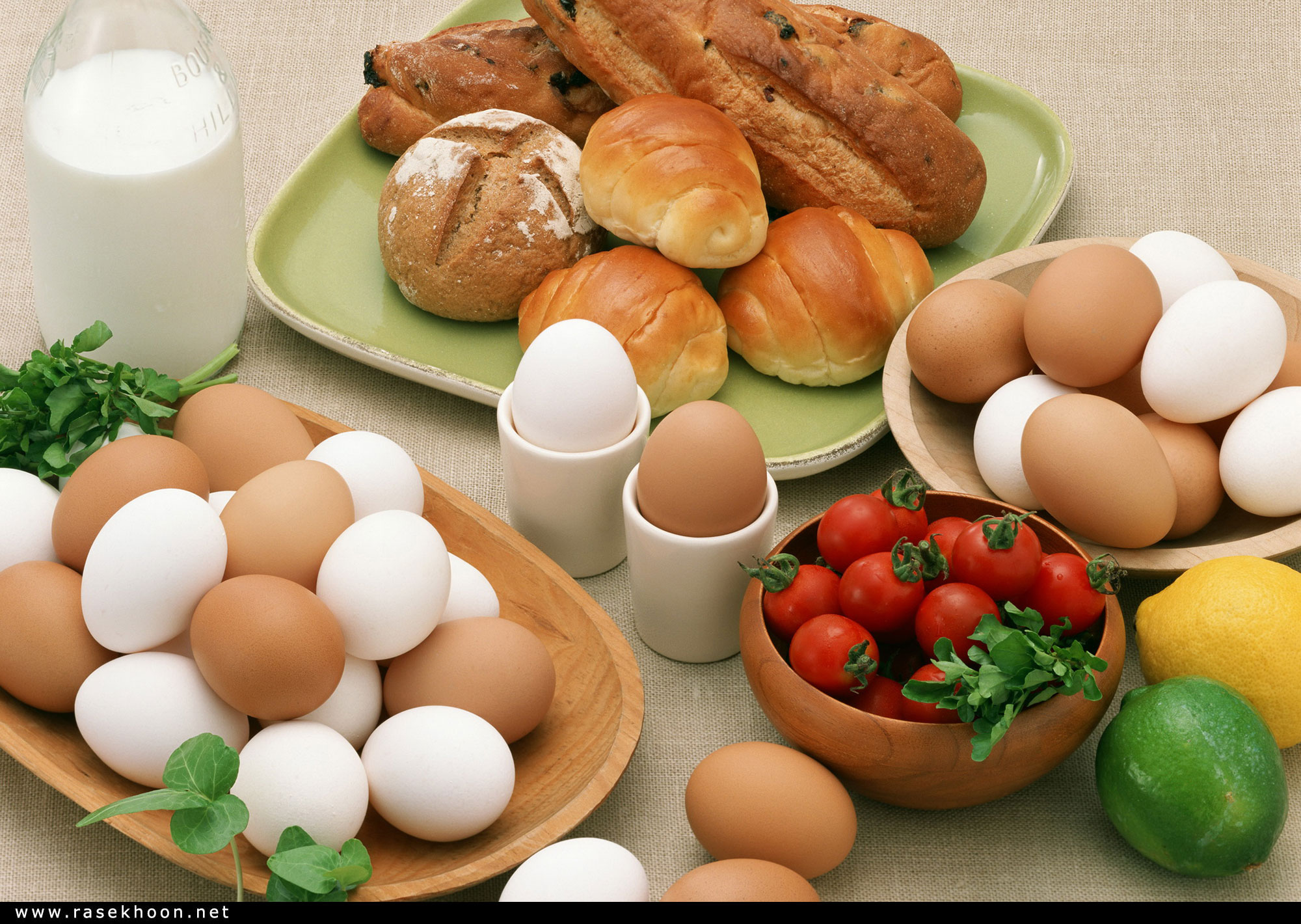 تخم مرغ