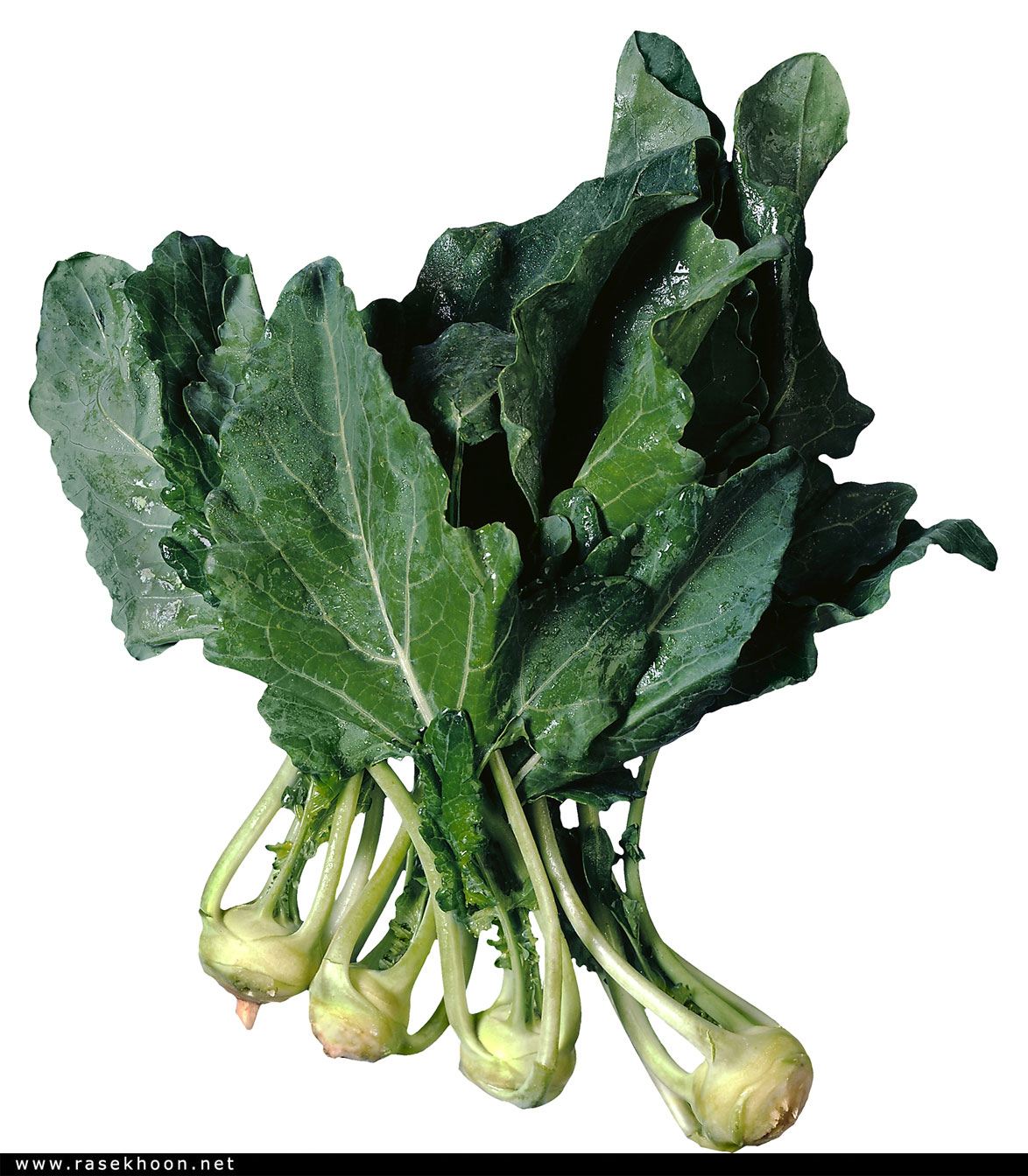 میوه وسبزیجات