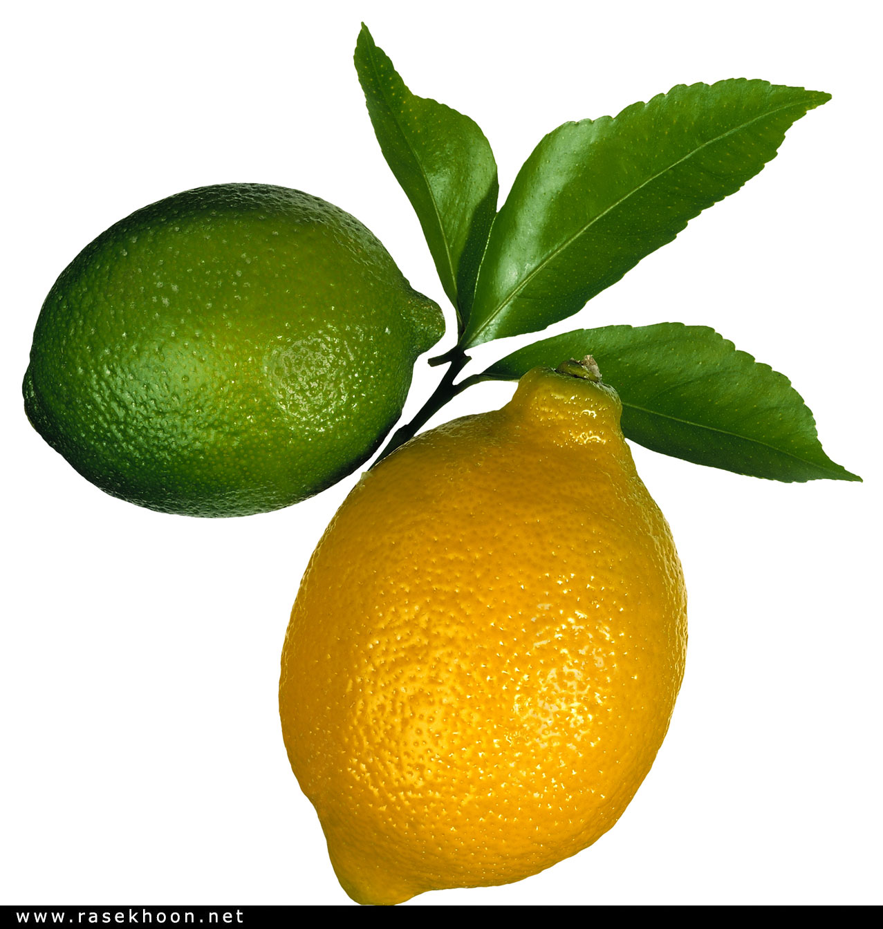 میوه وسبزیجات