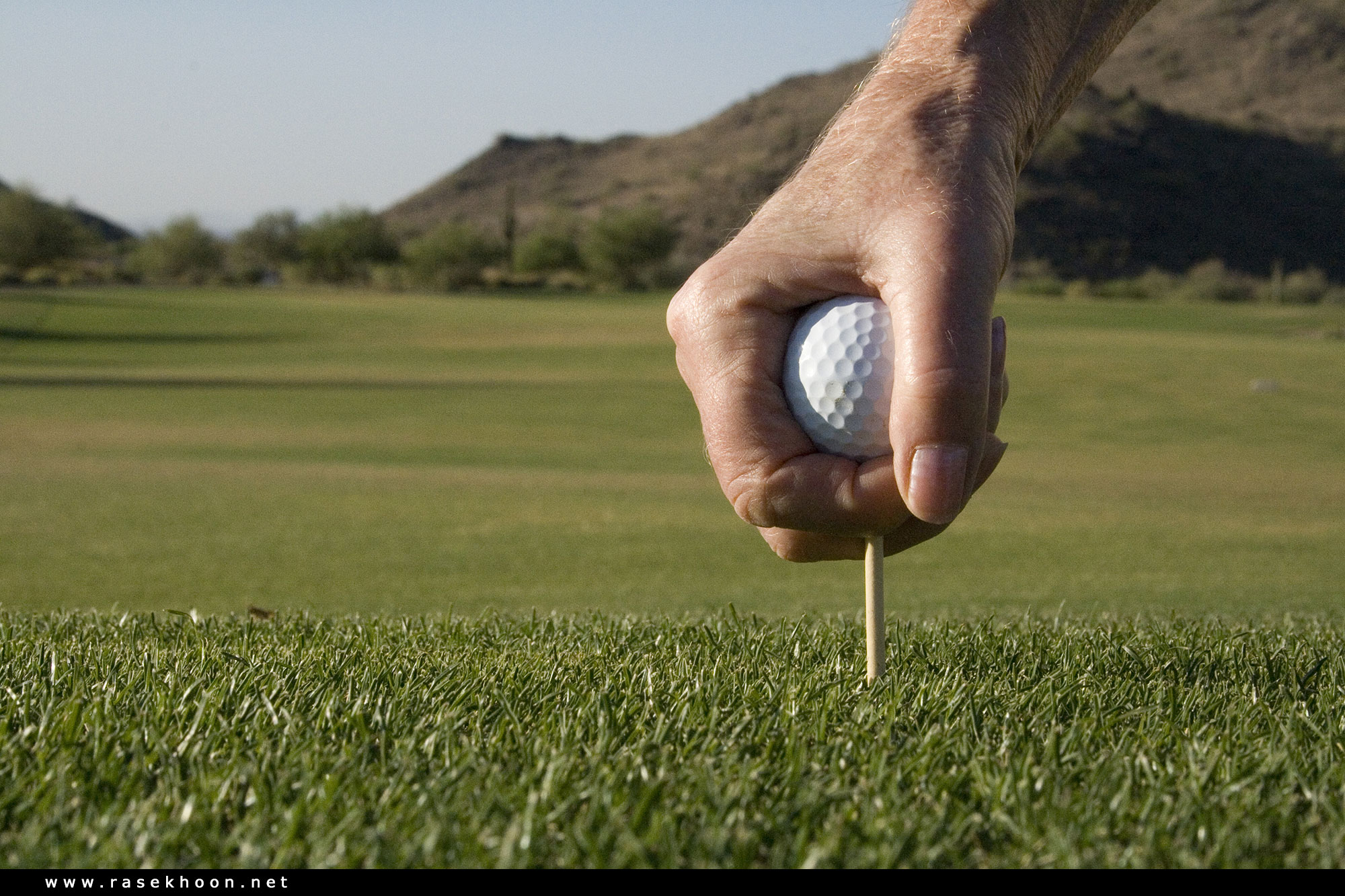 Simple golfing. Устанавливание мяча в гольфе. Golf Tee. Гольф мяч на крокодиле. Маркирование мяча в гольфе.