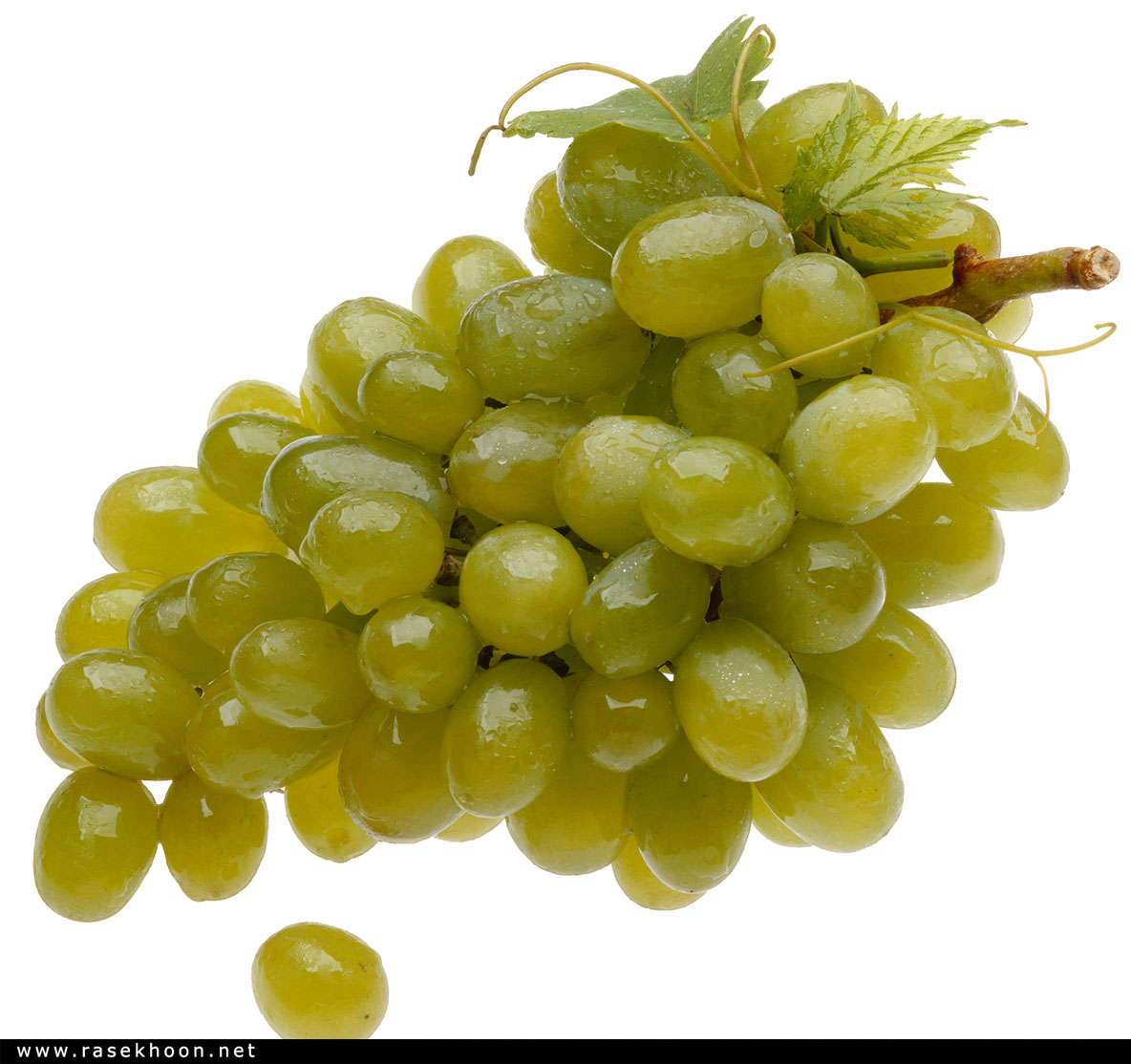 Гроздь зеленого винограда