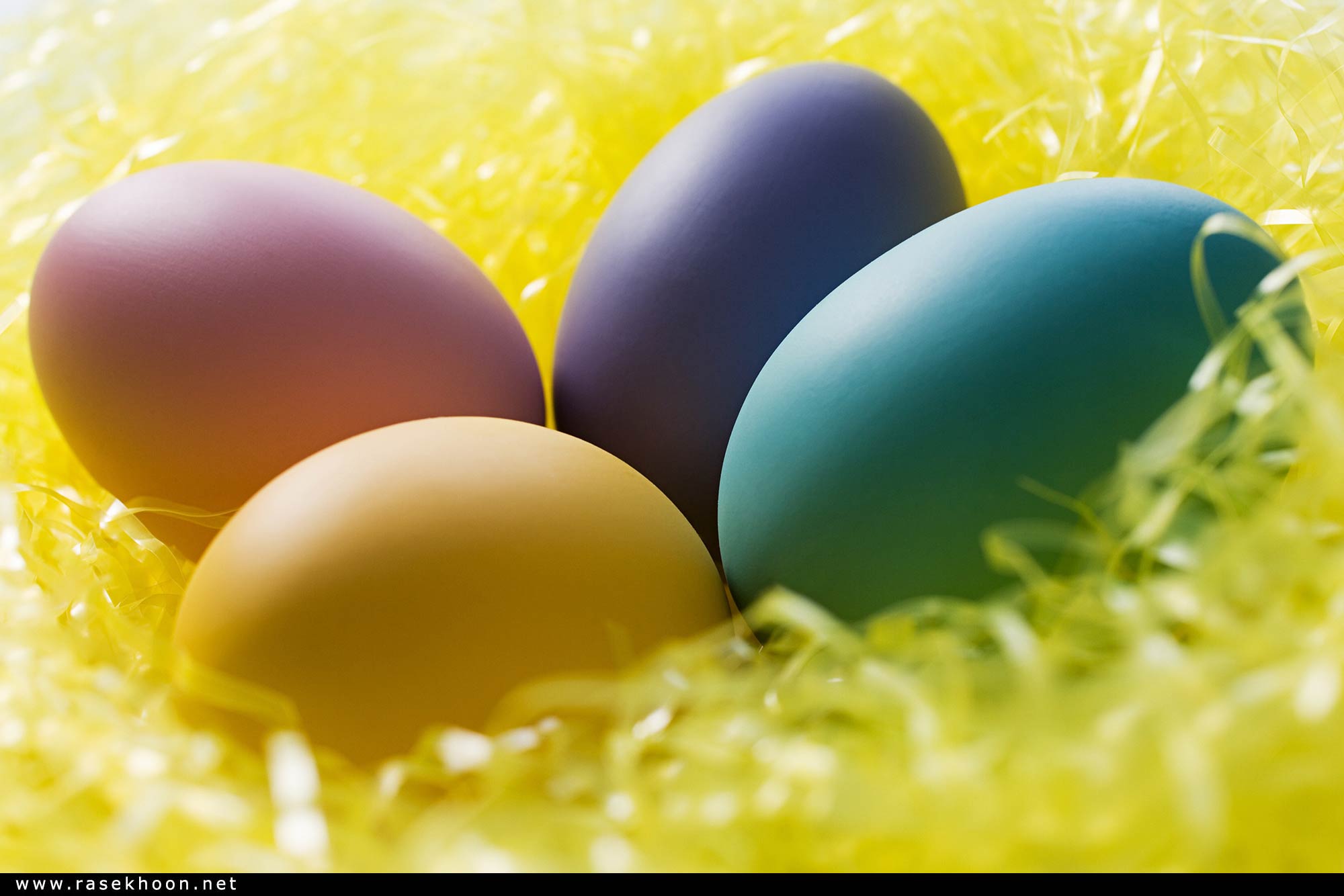 Красивые молодые яйца. Пасхальное яйцо. Красивые пасхальные яйца. Пасха обои. Желтые яйца на Пасху.