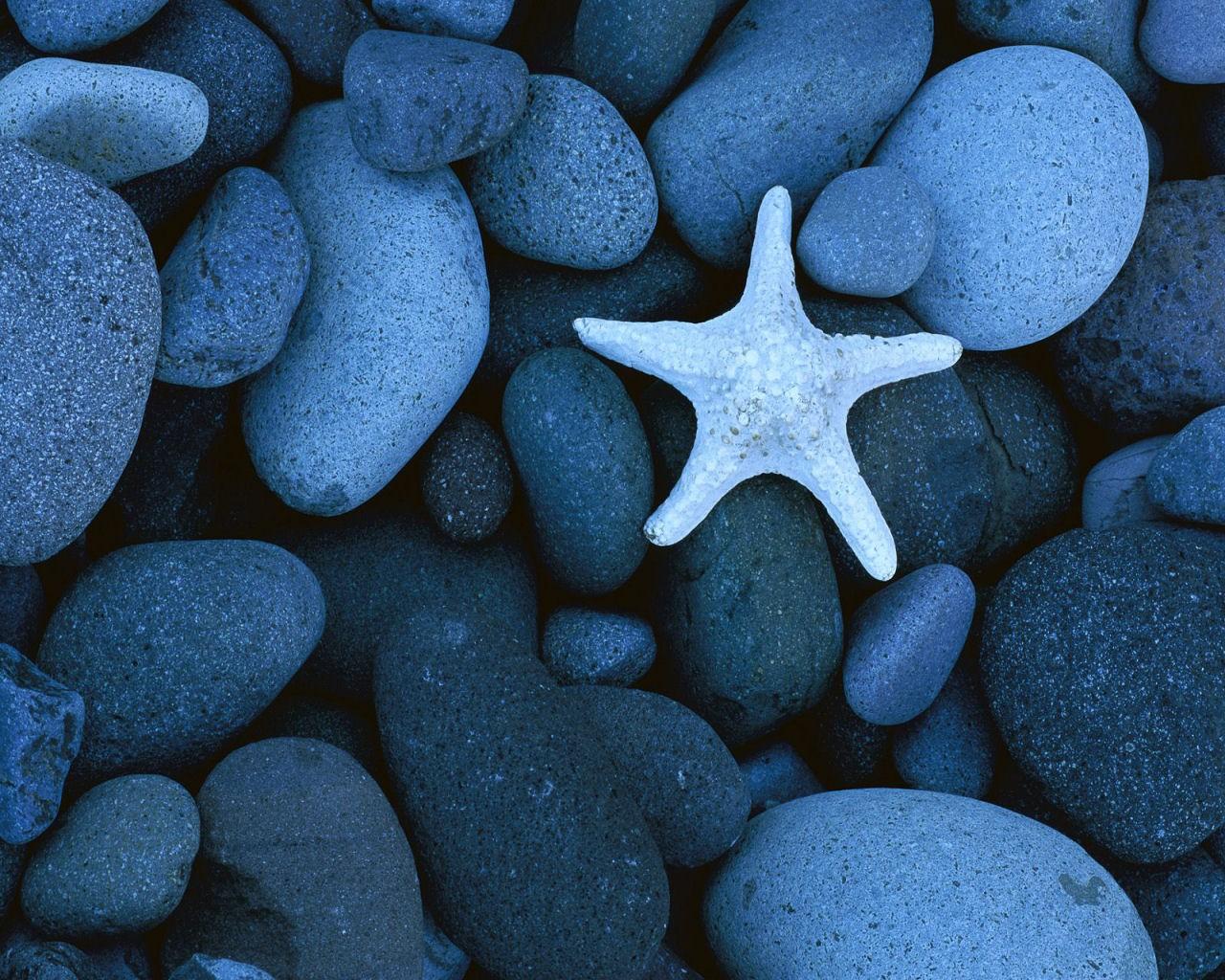 دنیای زیر آب