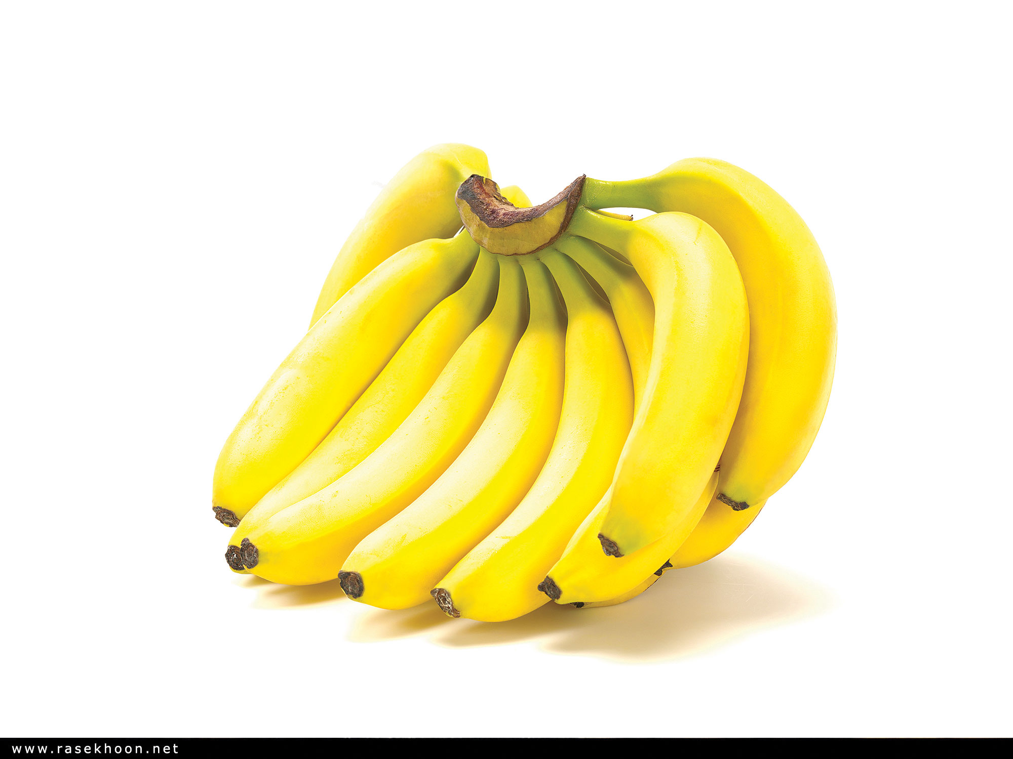 میوه ها
