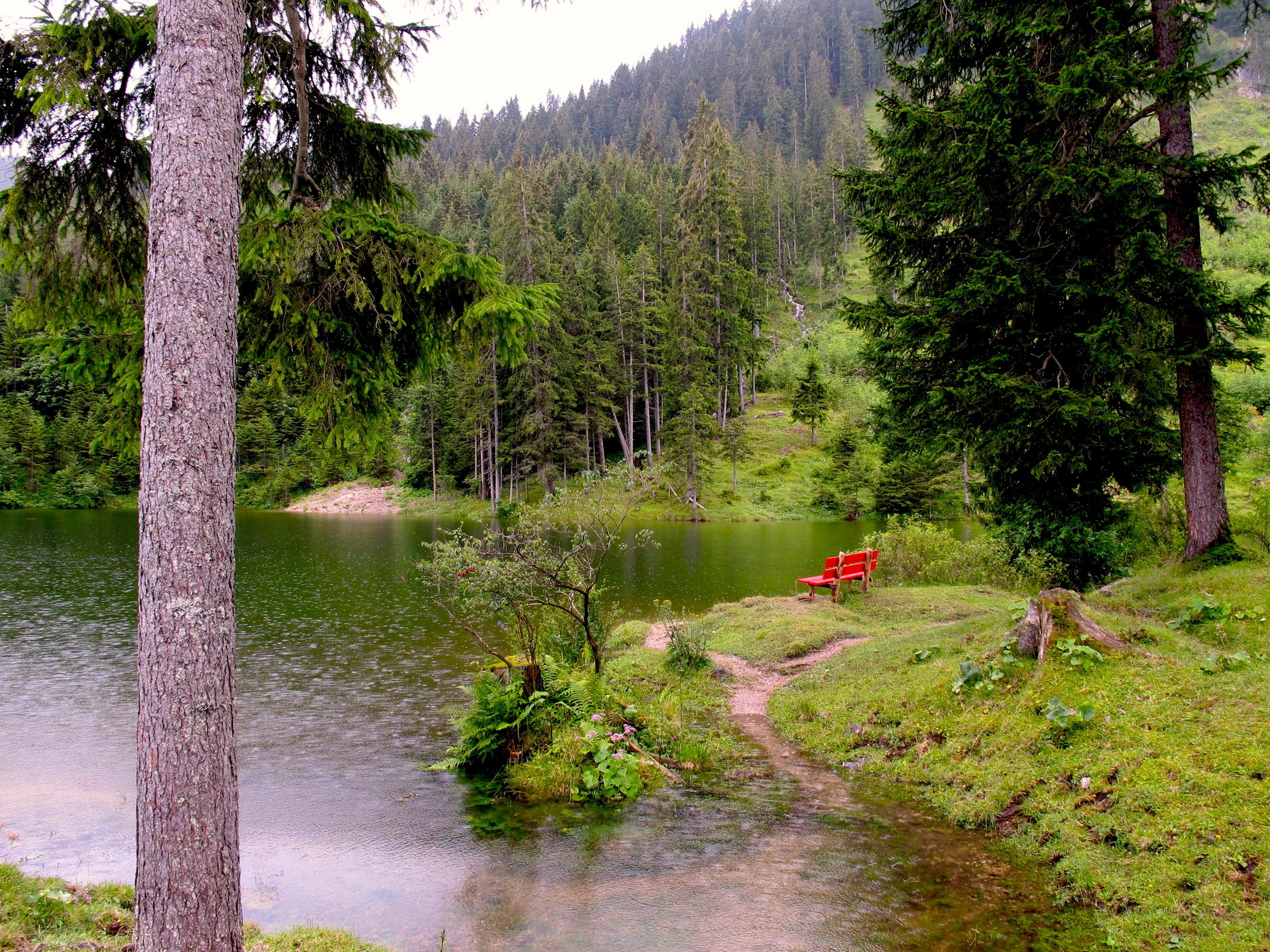 کاغذ دیواری