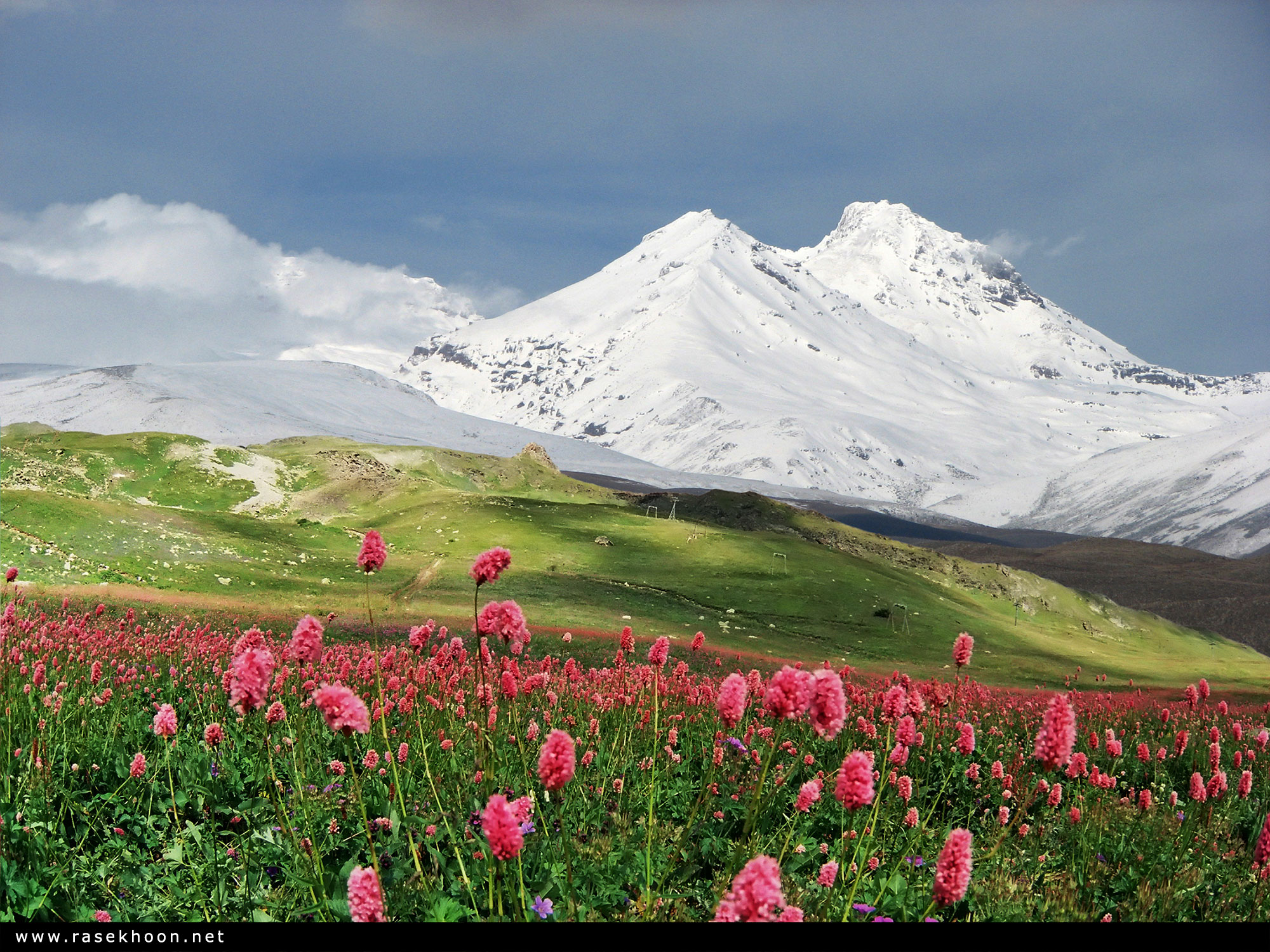 چشم انداز