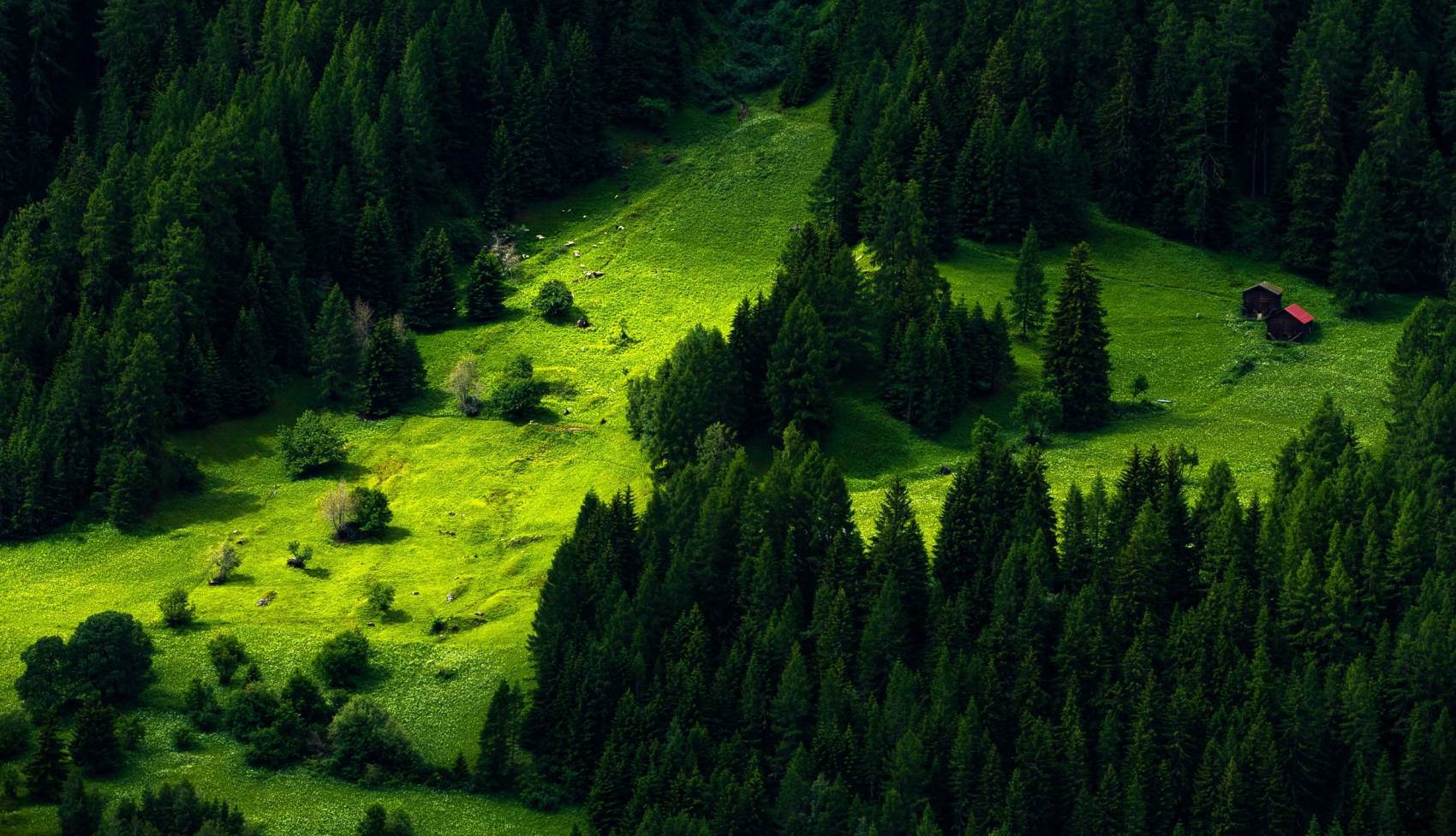 طبیعت رویایی