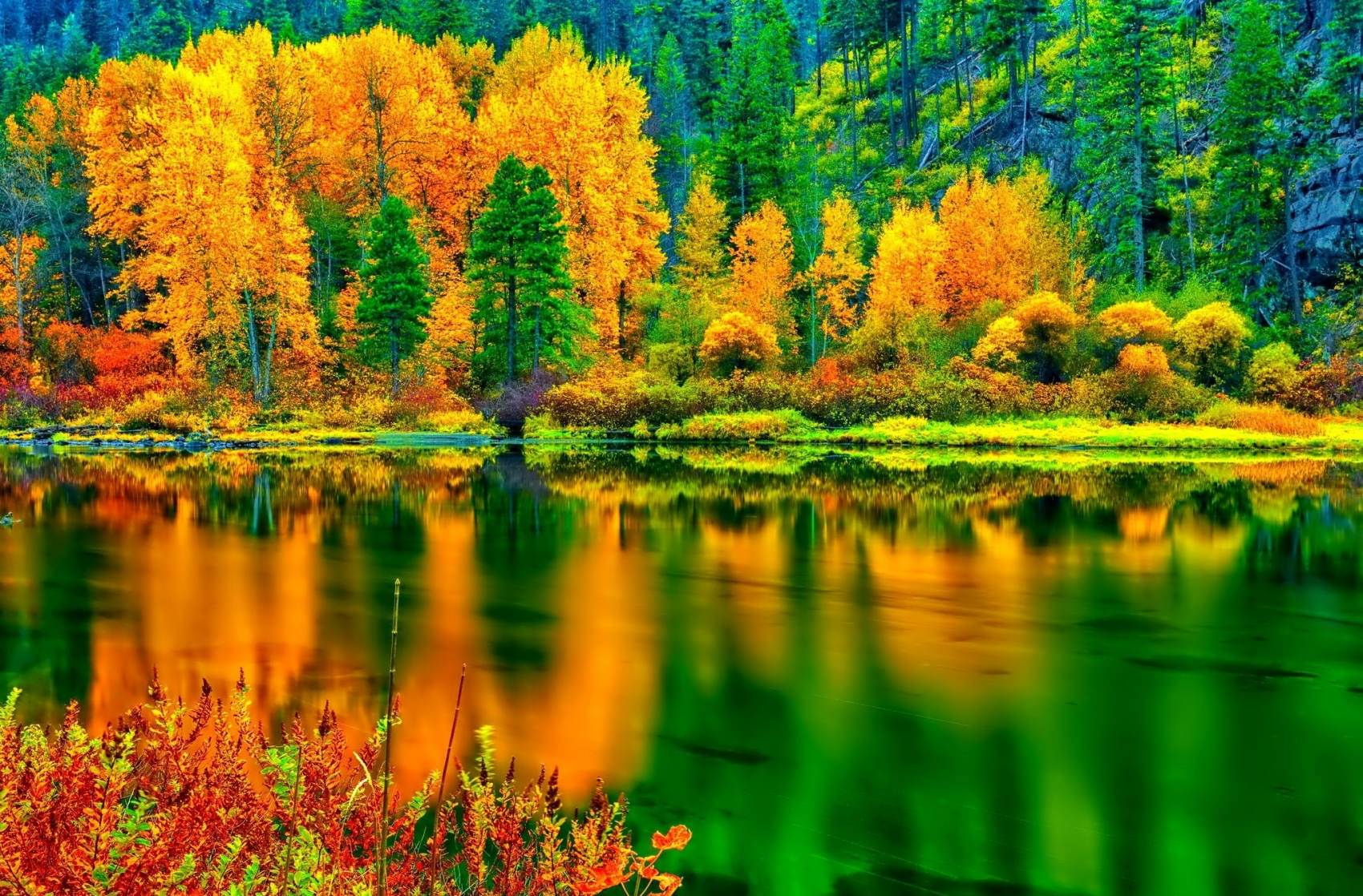 طبیعت رویایی