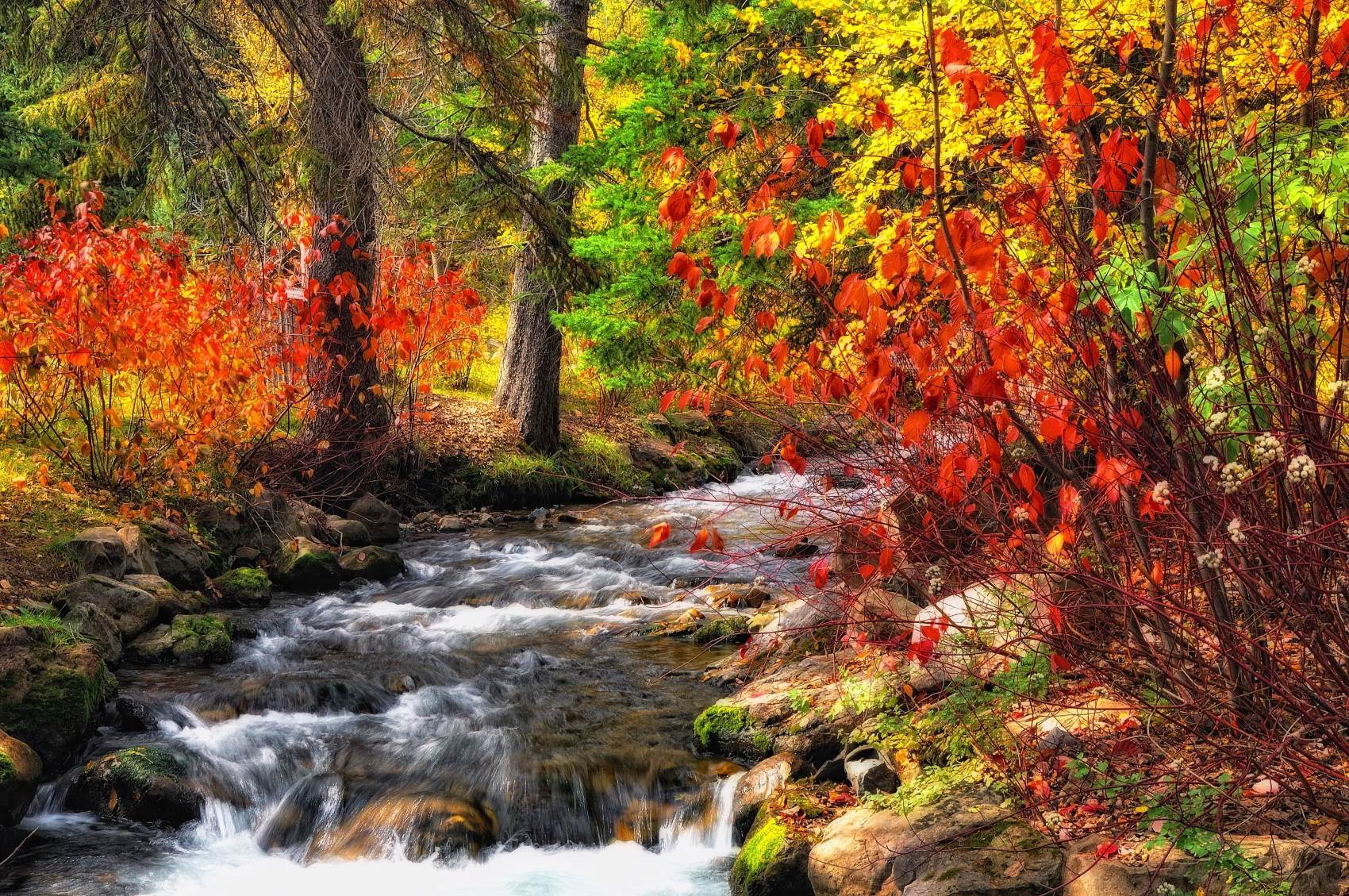 طبیعت رویایی