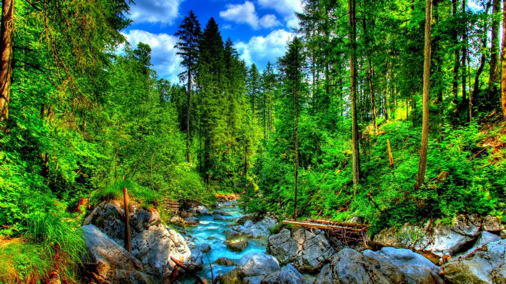 طبیعت رویایی