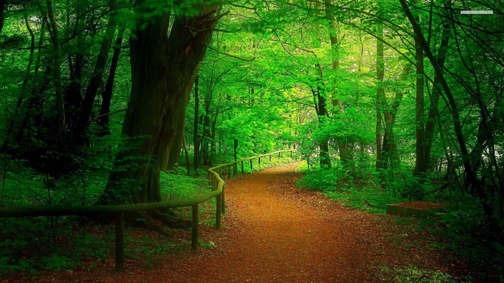 طبیعت رویایی