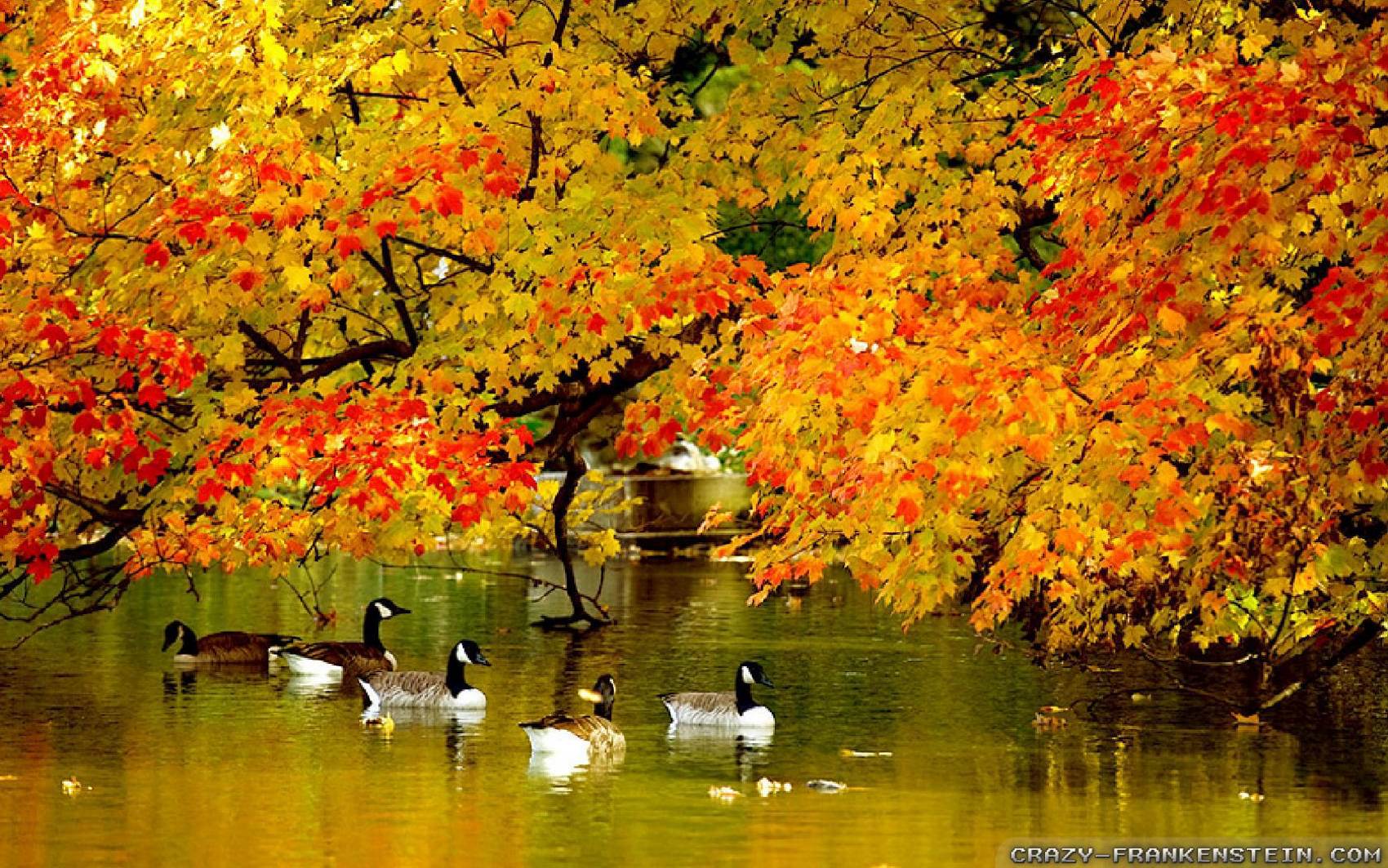 طبیعت رویایی