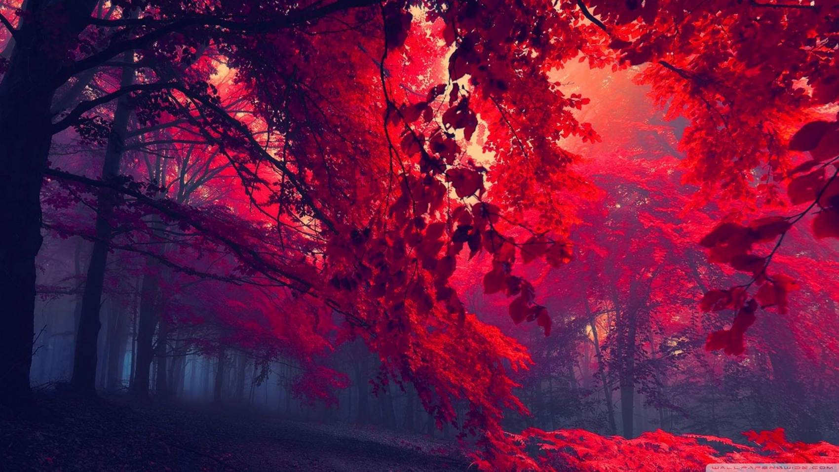 طبیعت رویایی