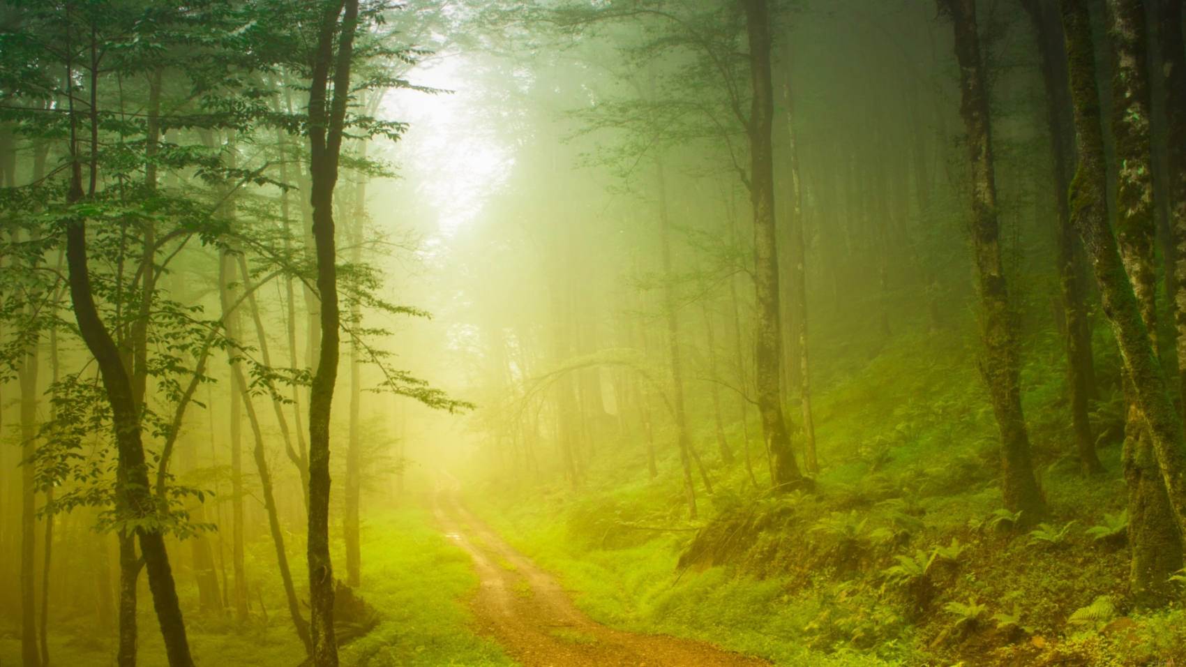 طبیعت رویایی