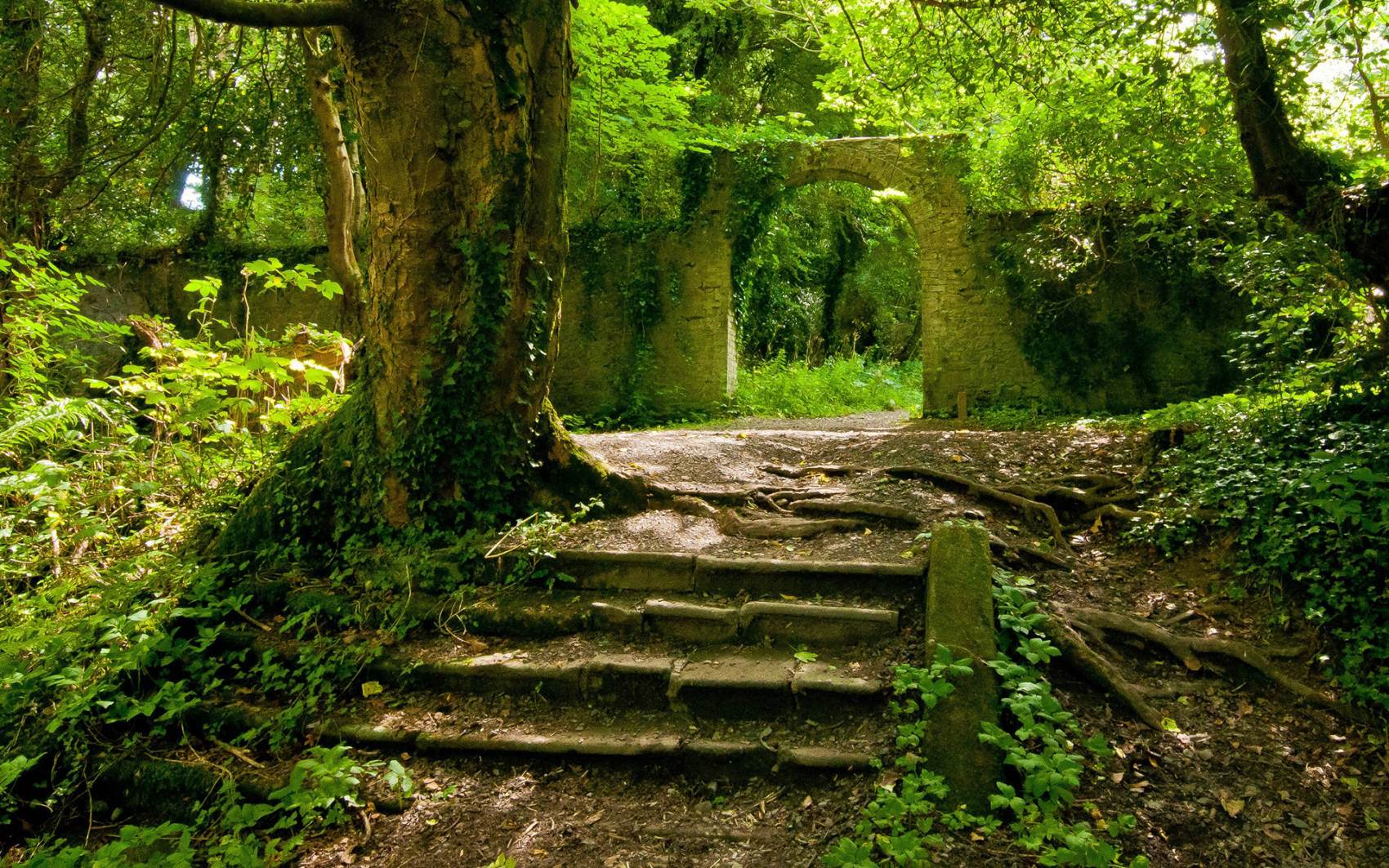 طبیعت رویایی