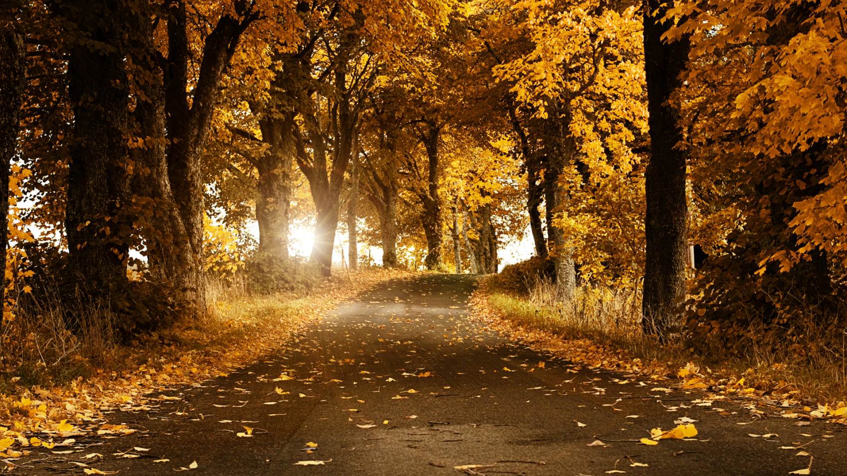 طبیعت رویایی