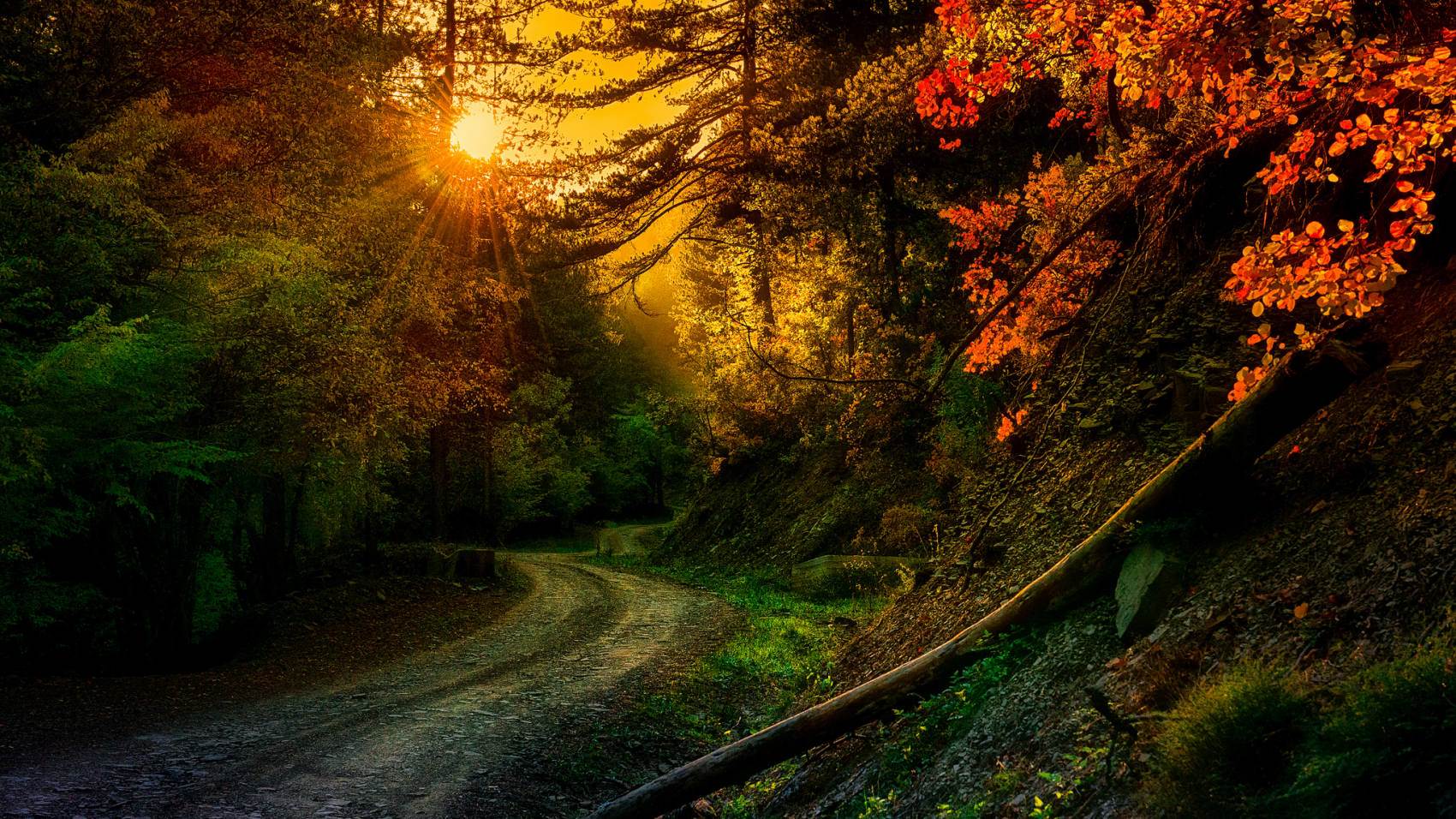 طبیعت رویایی