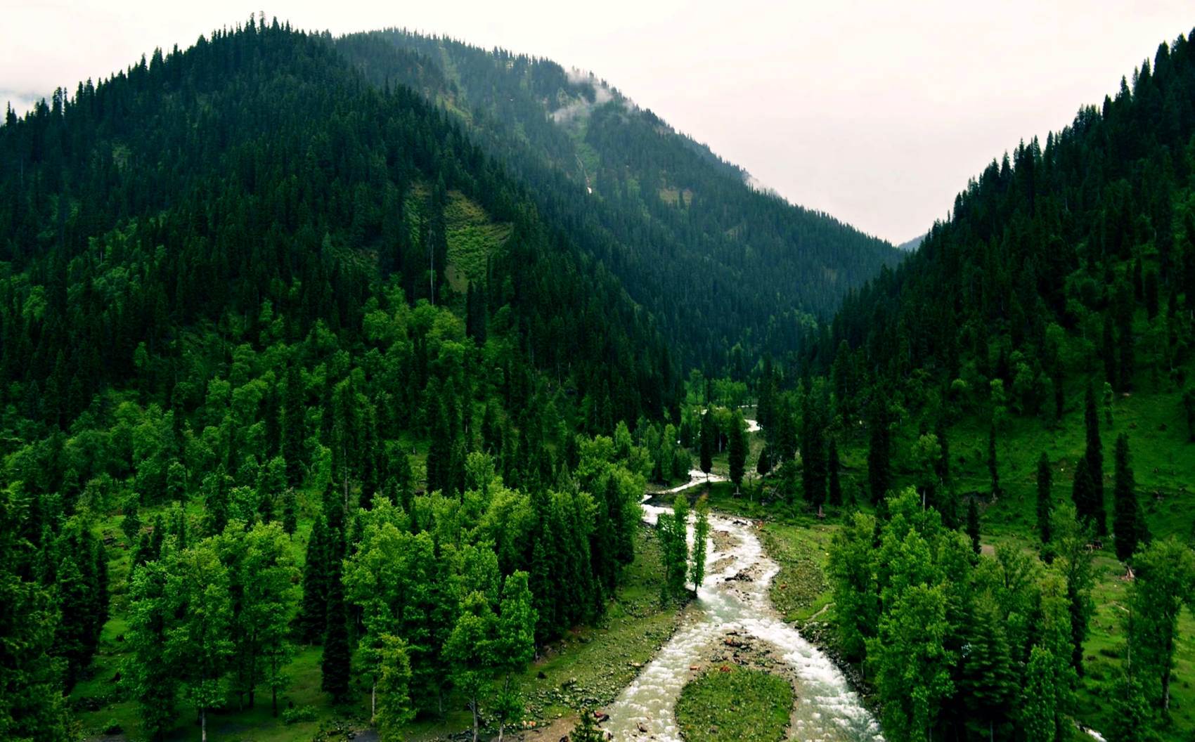 طبیعت رویایی