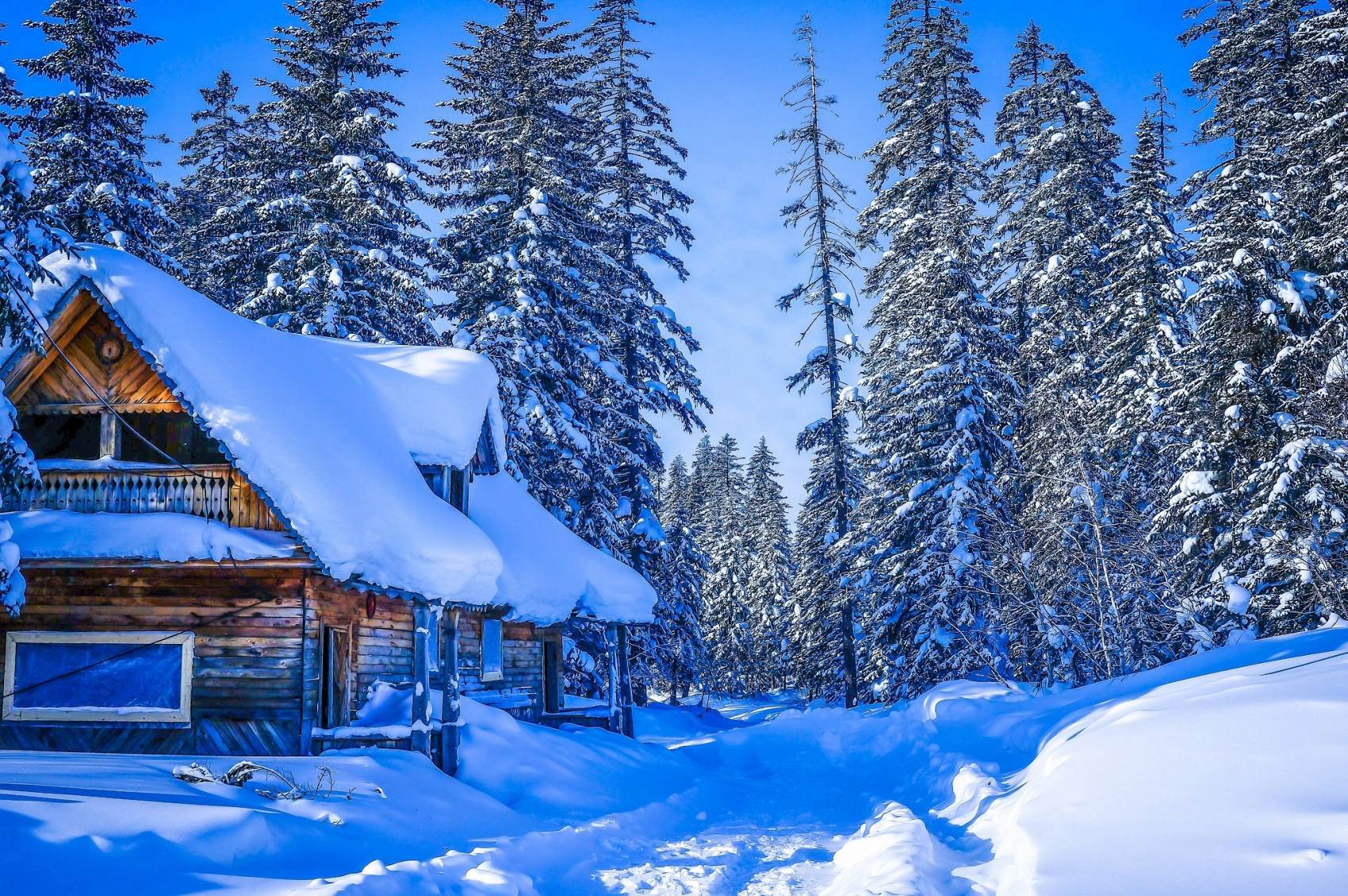 طبیعت رویایی