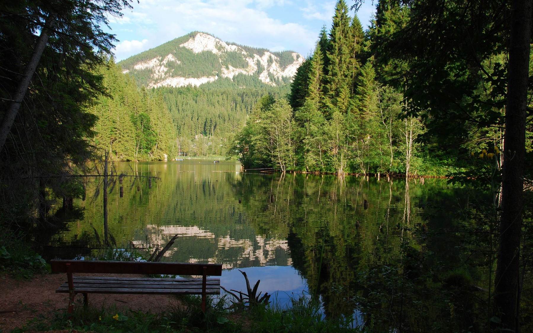 طبیعت رویایی