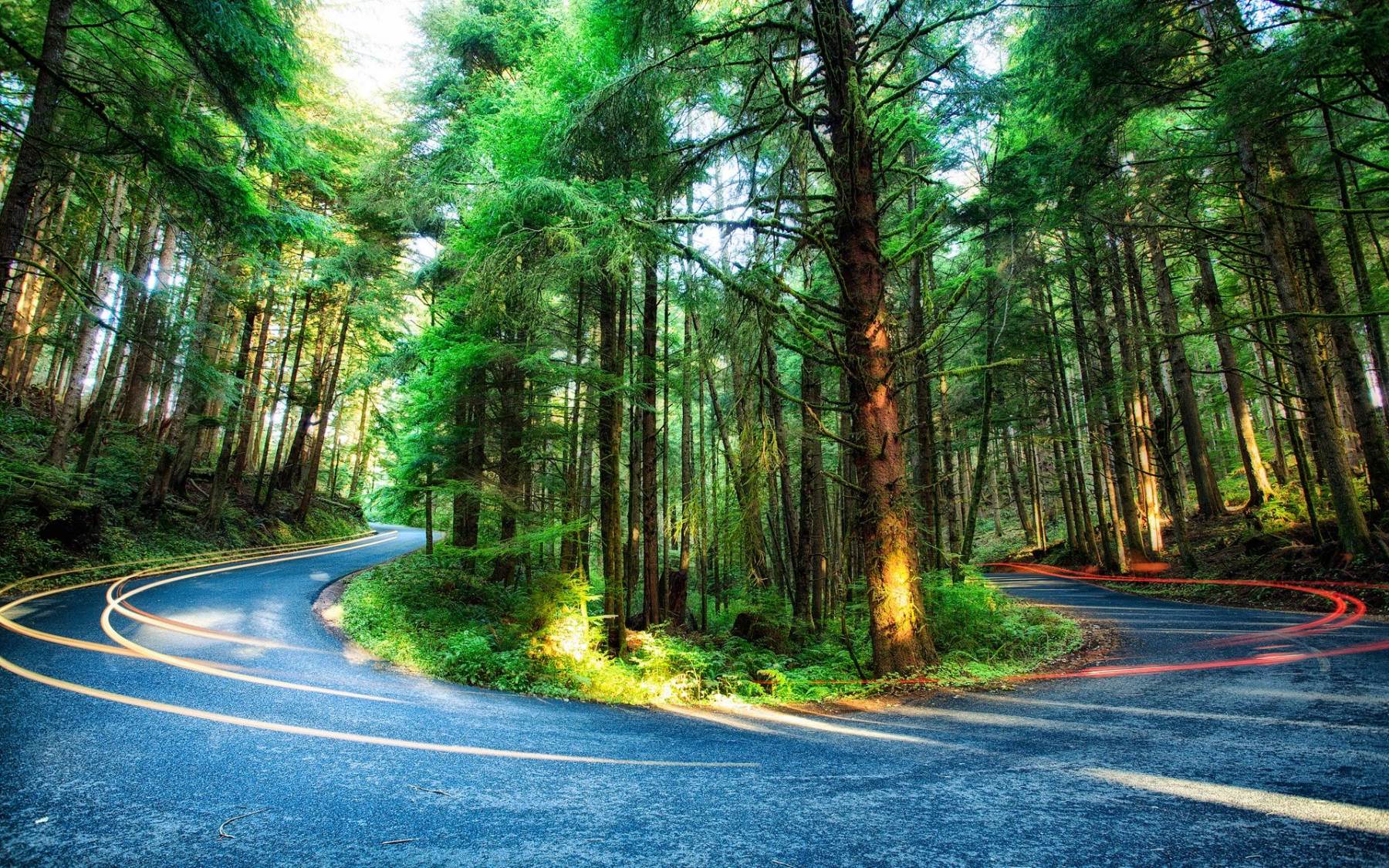 طبیعت رویایی