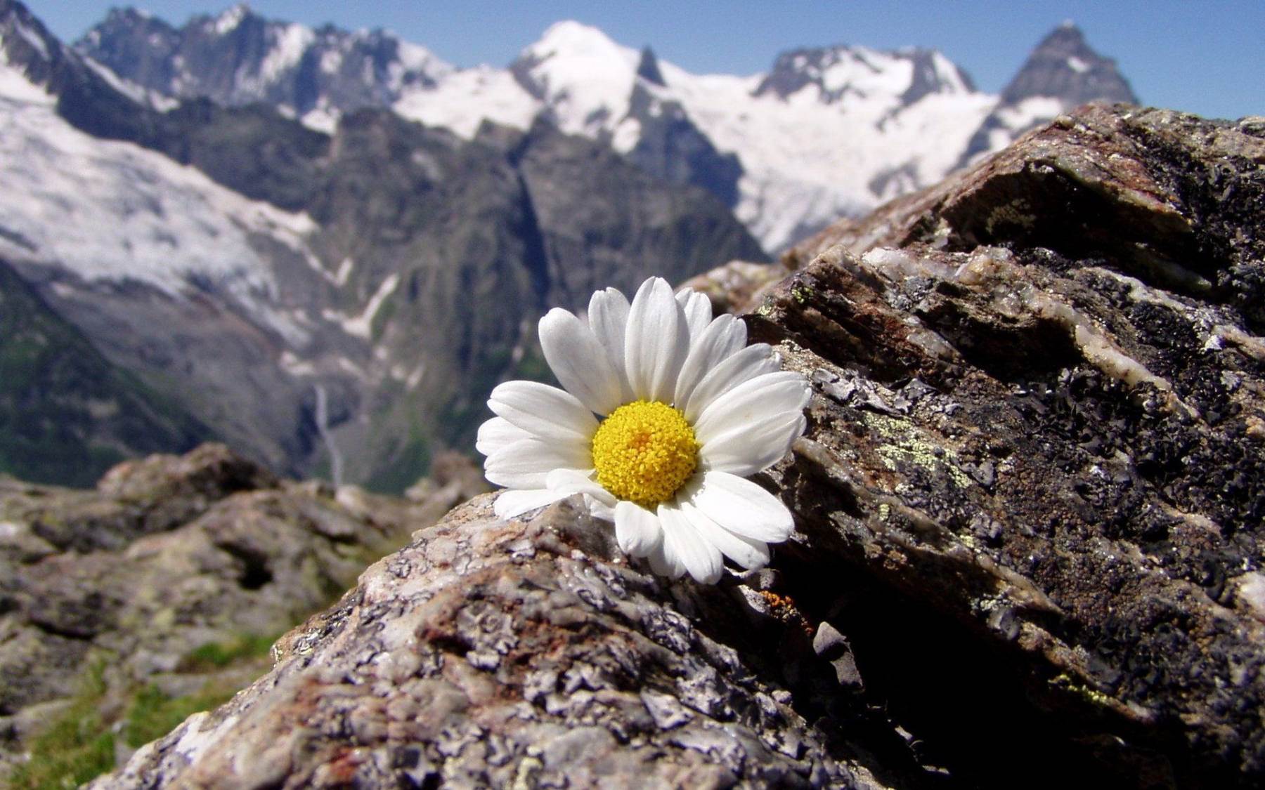 طبیعت رویایی