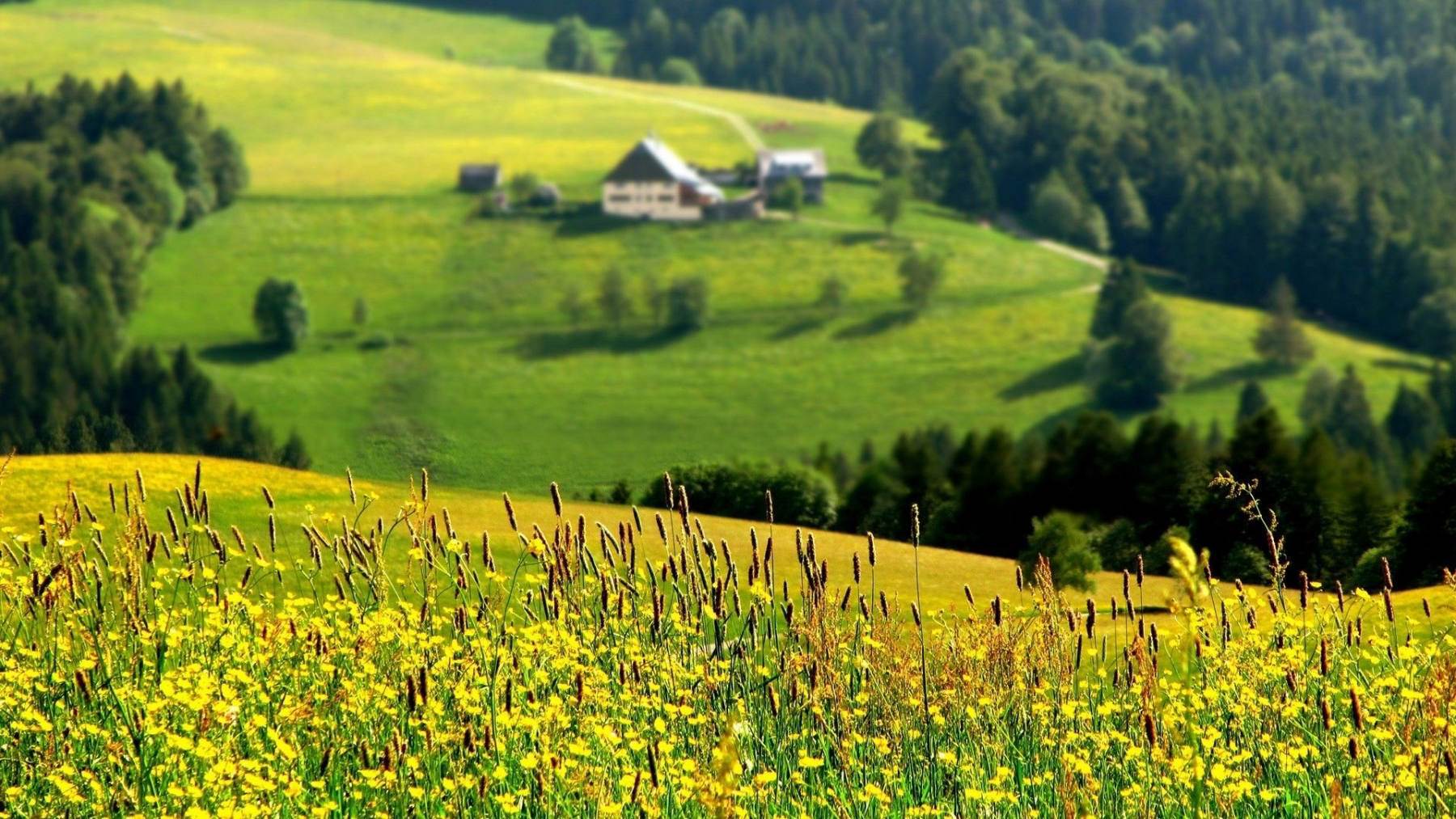 طبیعت رویایی