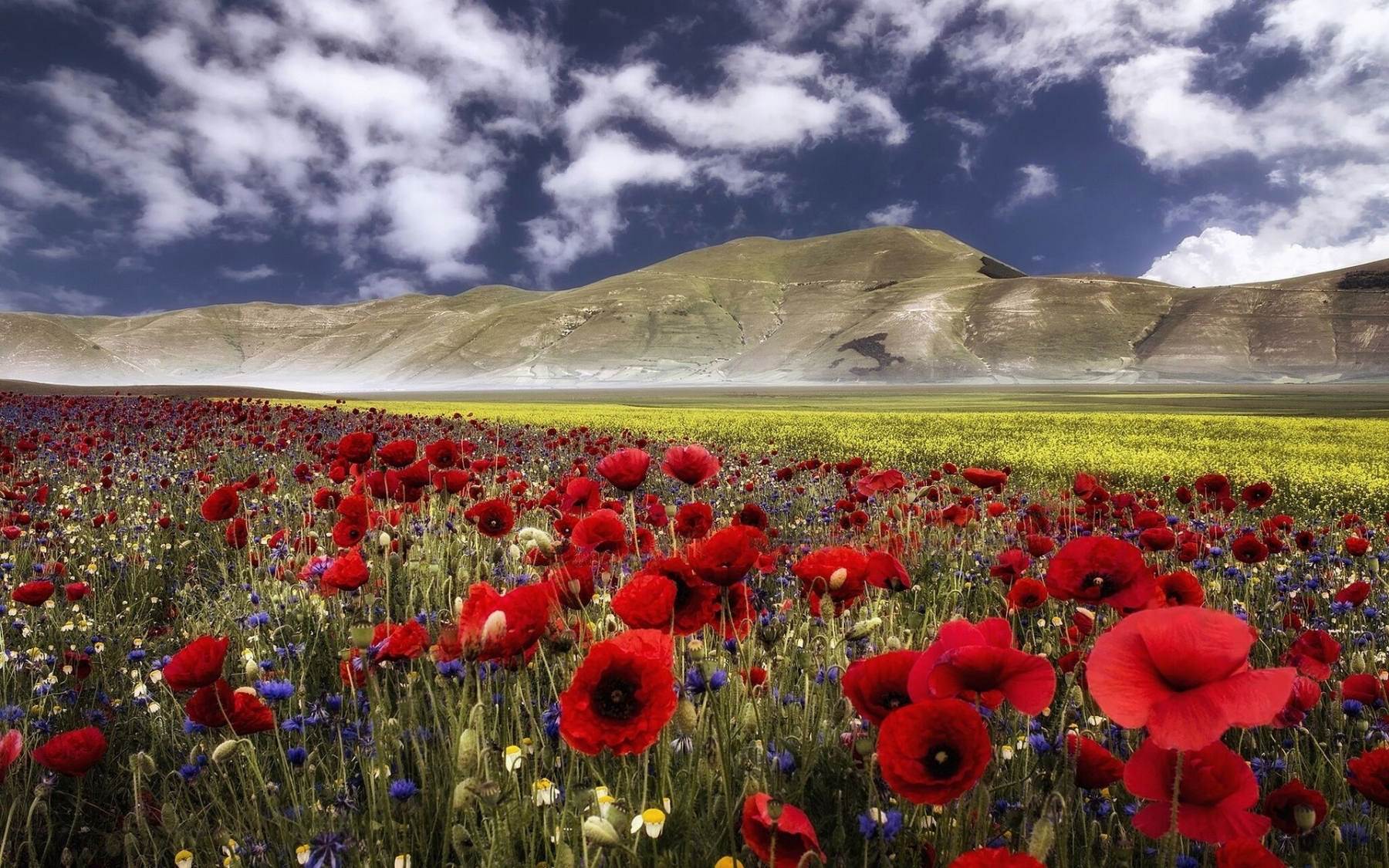 طبیعت رویایی