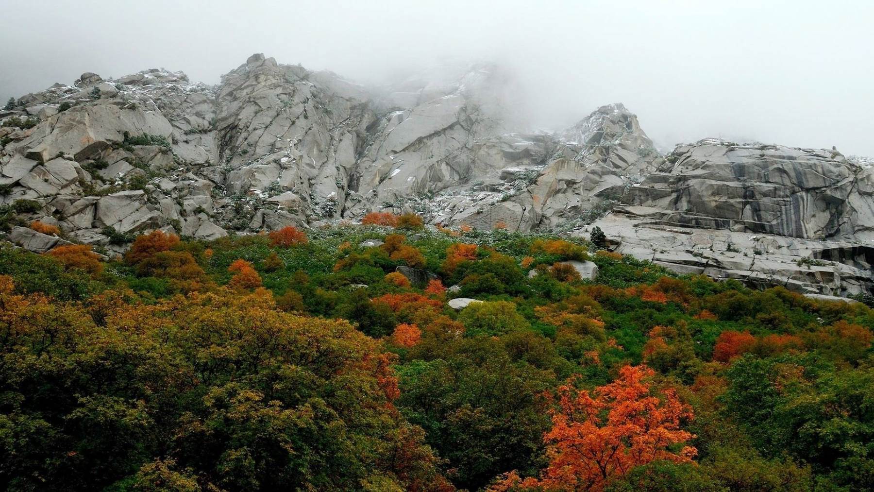 طبیعت رویایی