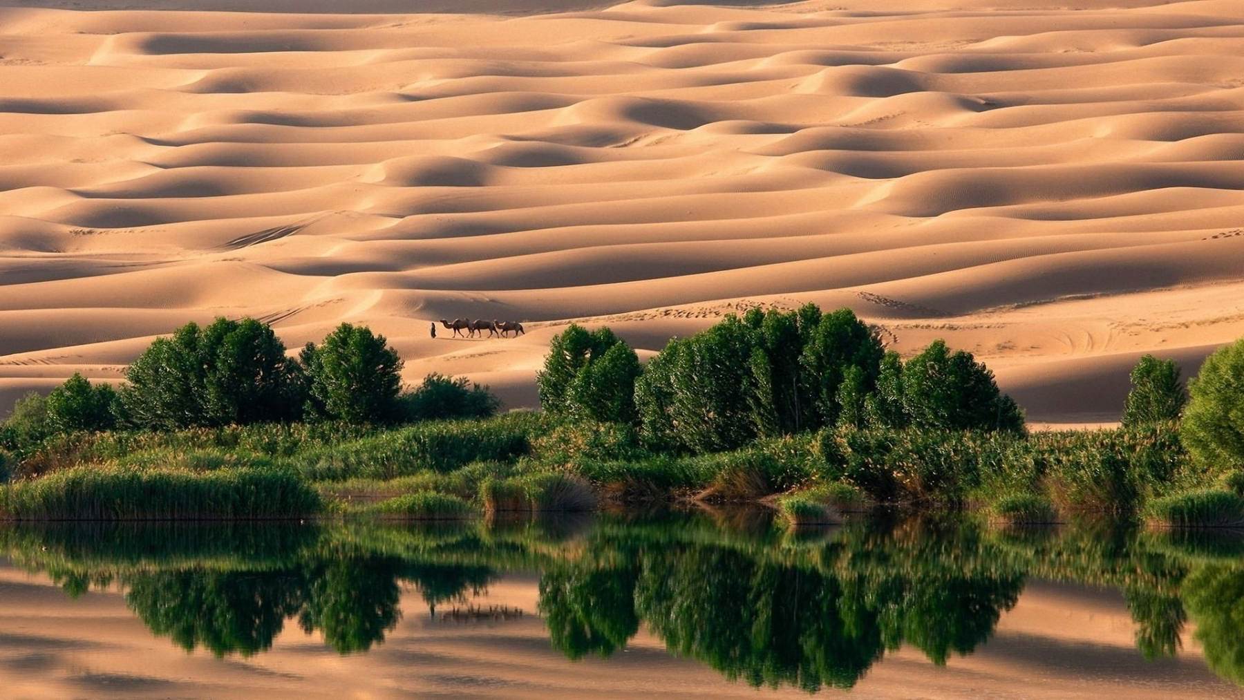 طبیعت رویایی