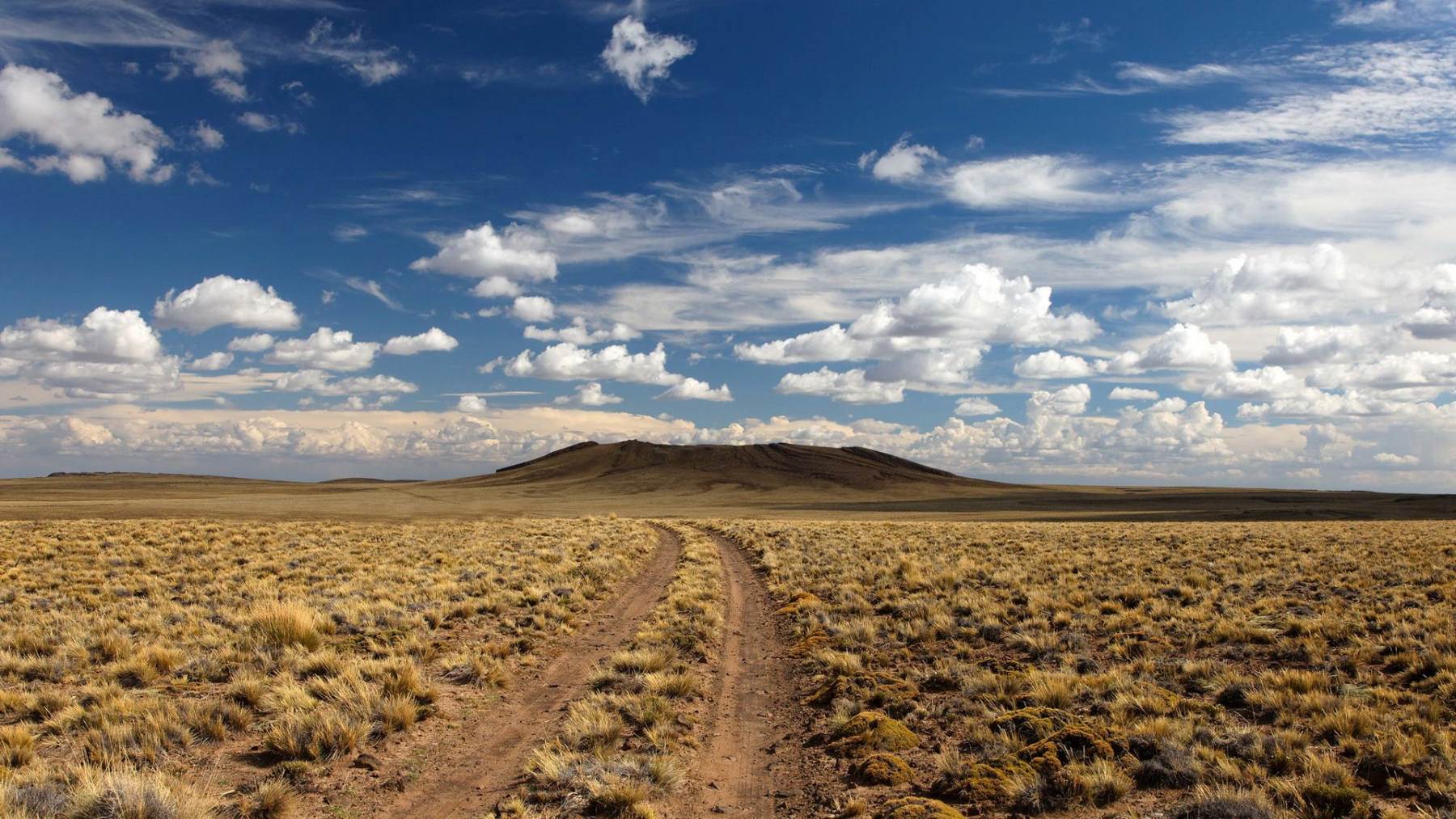 طبیعت رویایی